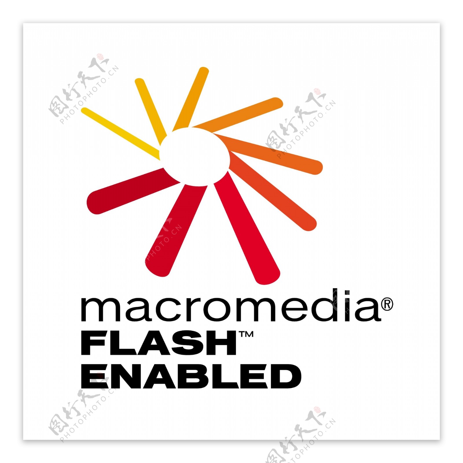 MacromediaFlash1