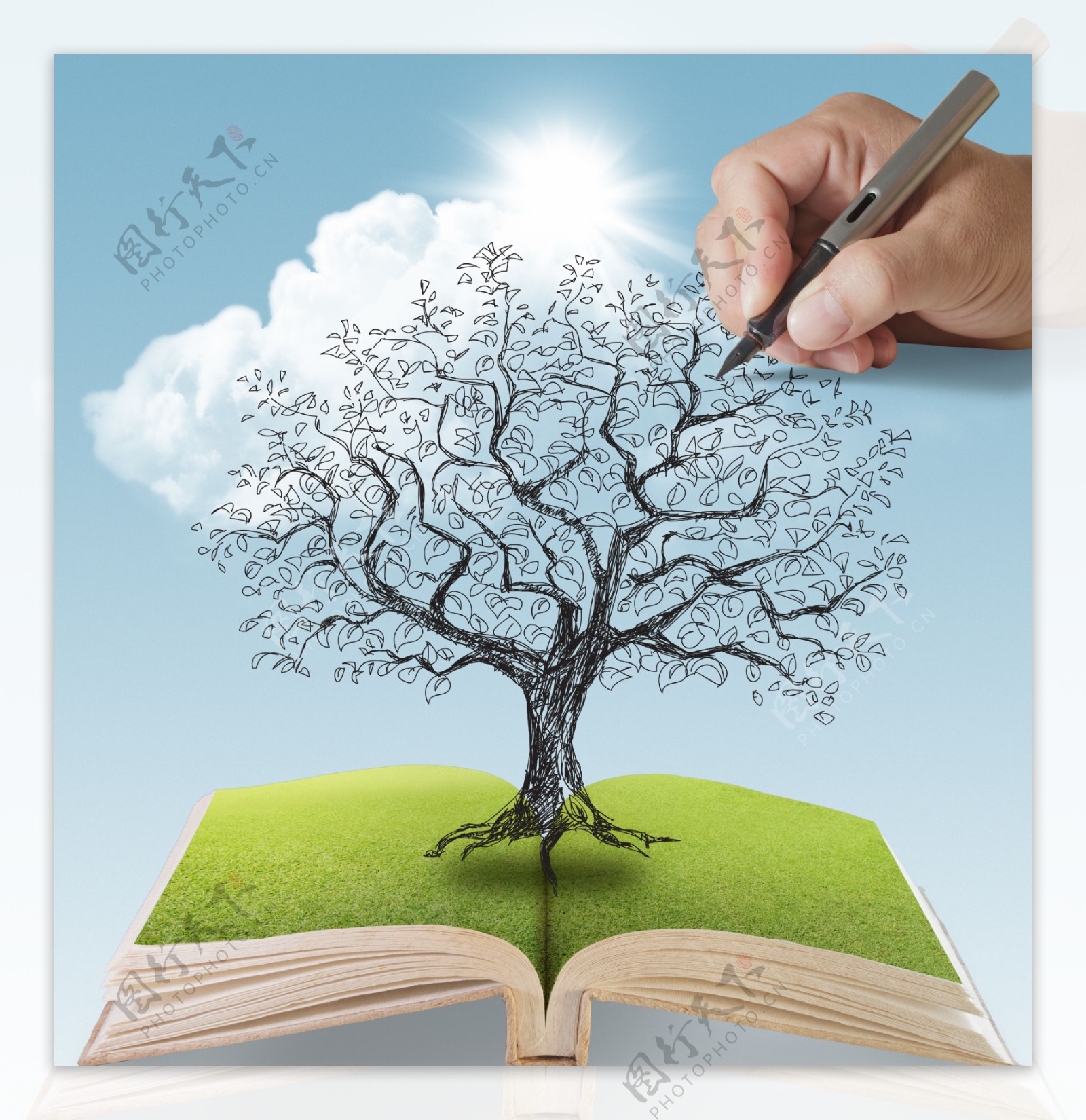 树被画在打开的书
