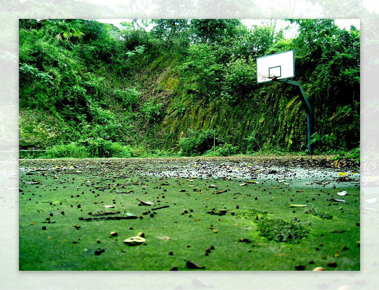 被荒废的篮球场图片
