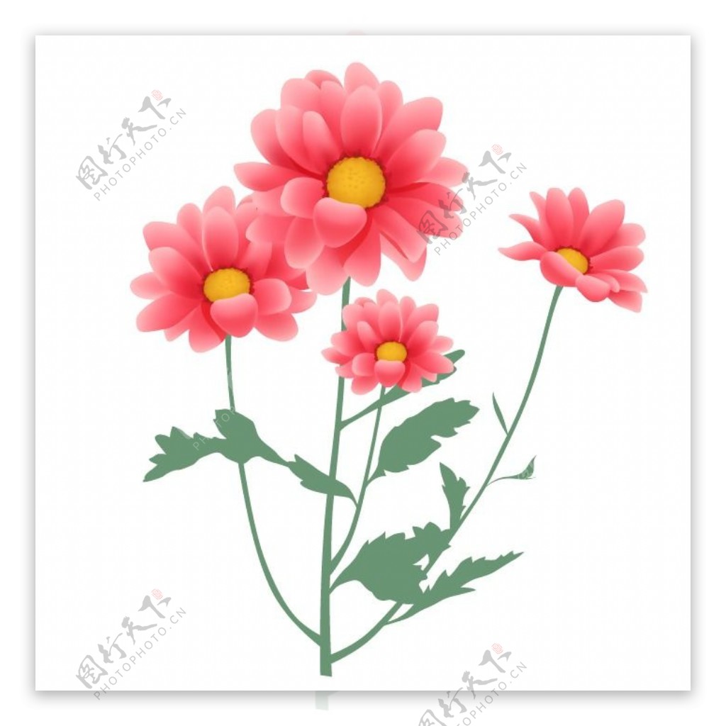 印花矢量图写实花卉花朵雏菊免费素材