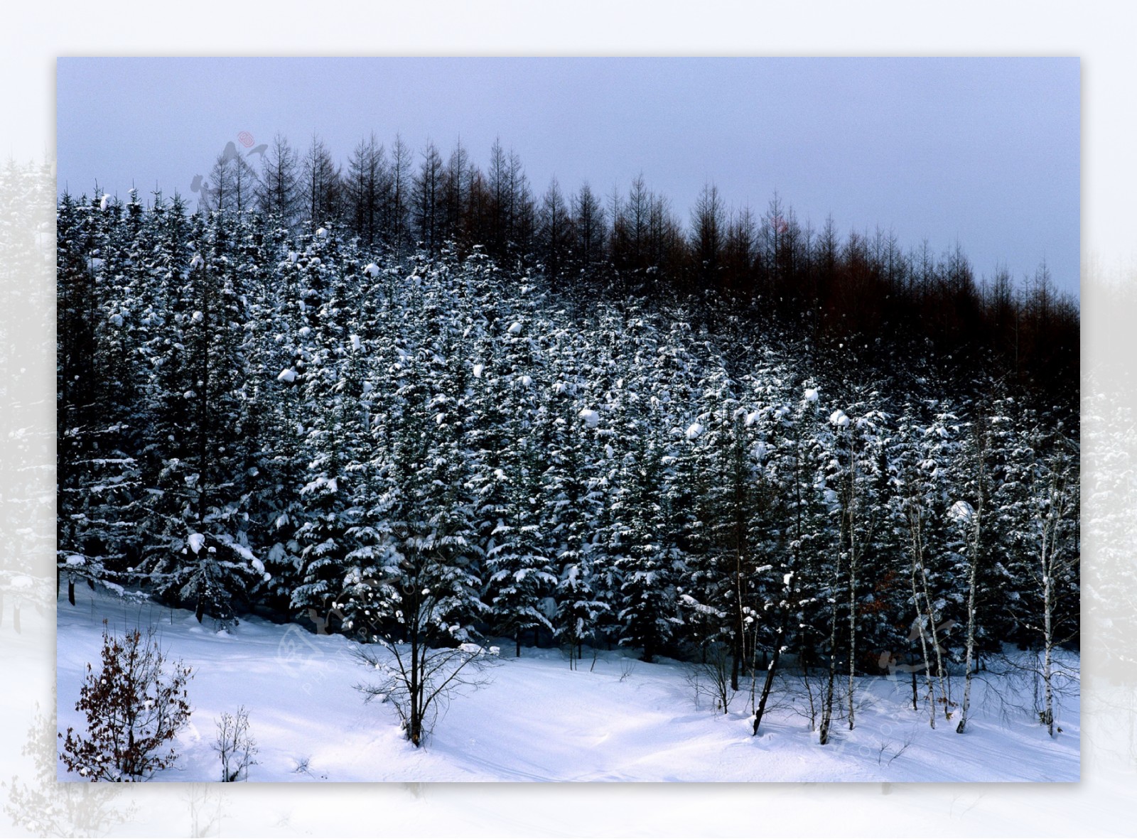 冬天雪景