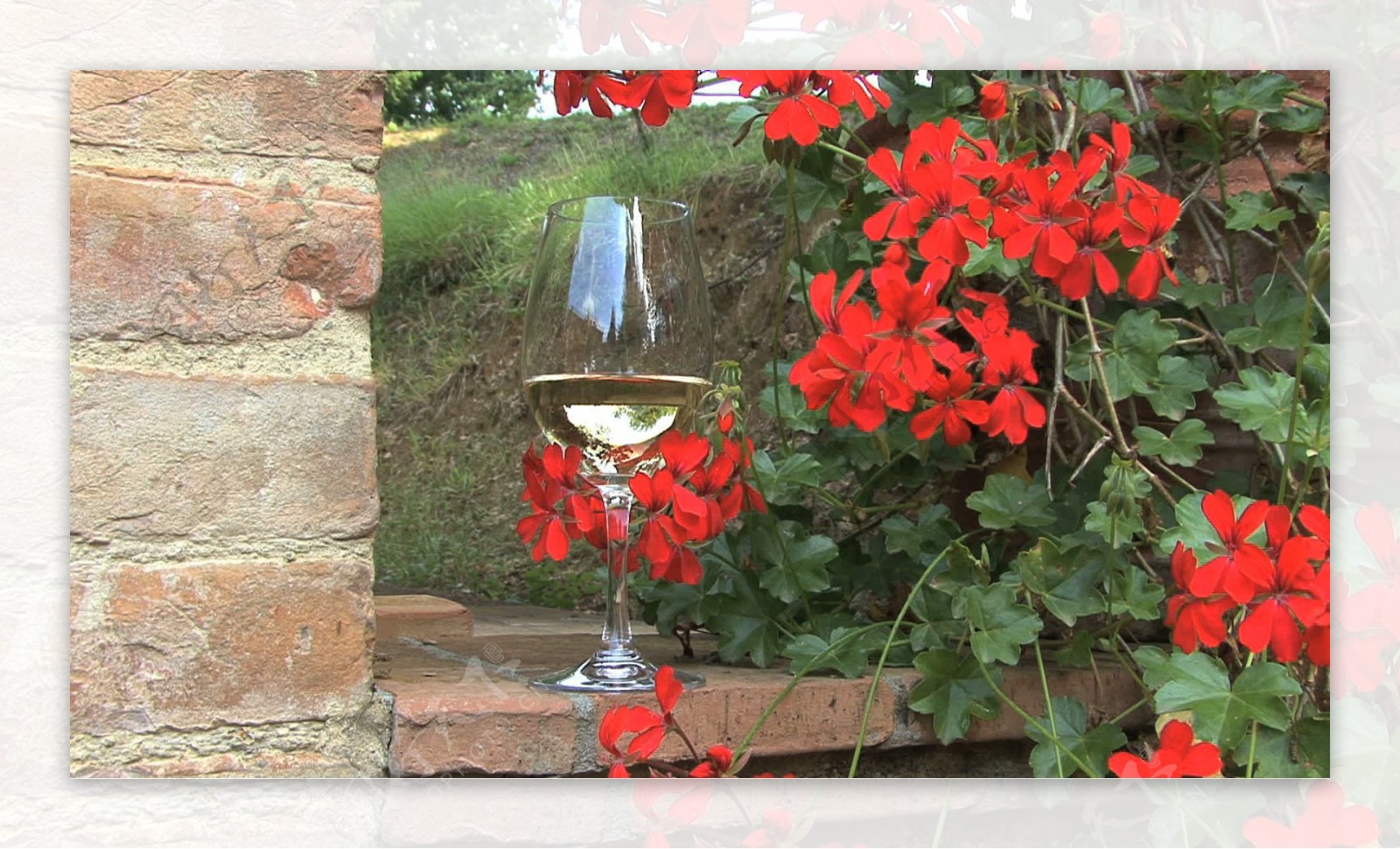 托斯卡纳白葡萄酒玻璃股票视频