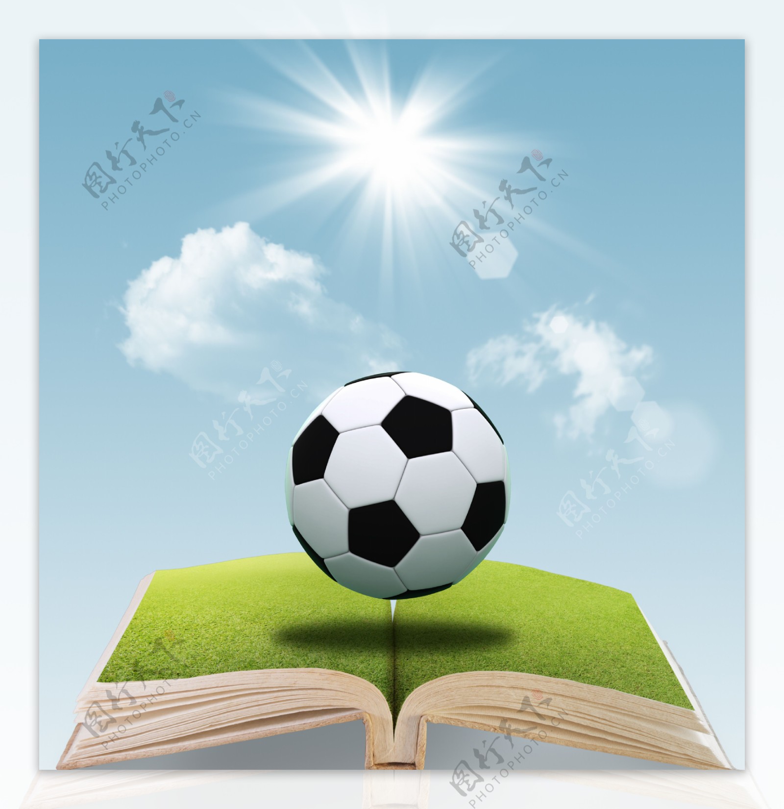 足球球打开的书