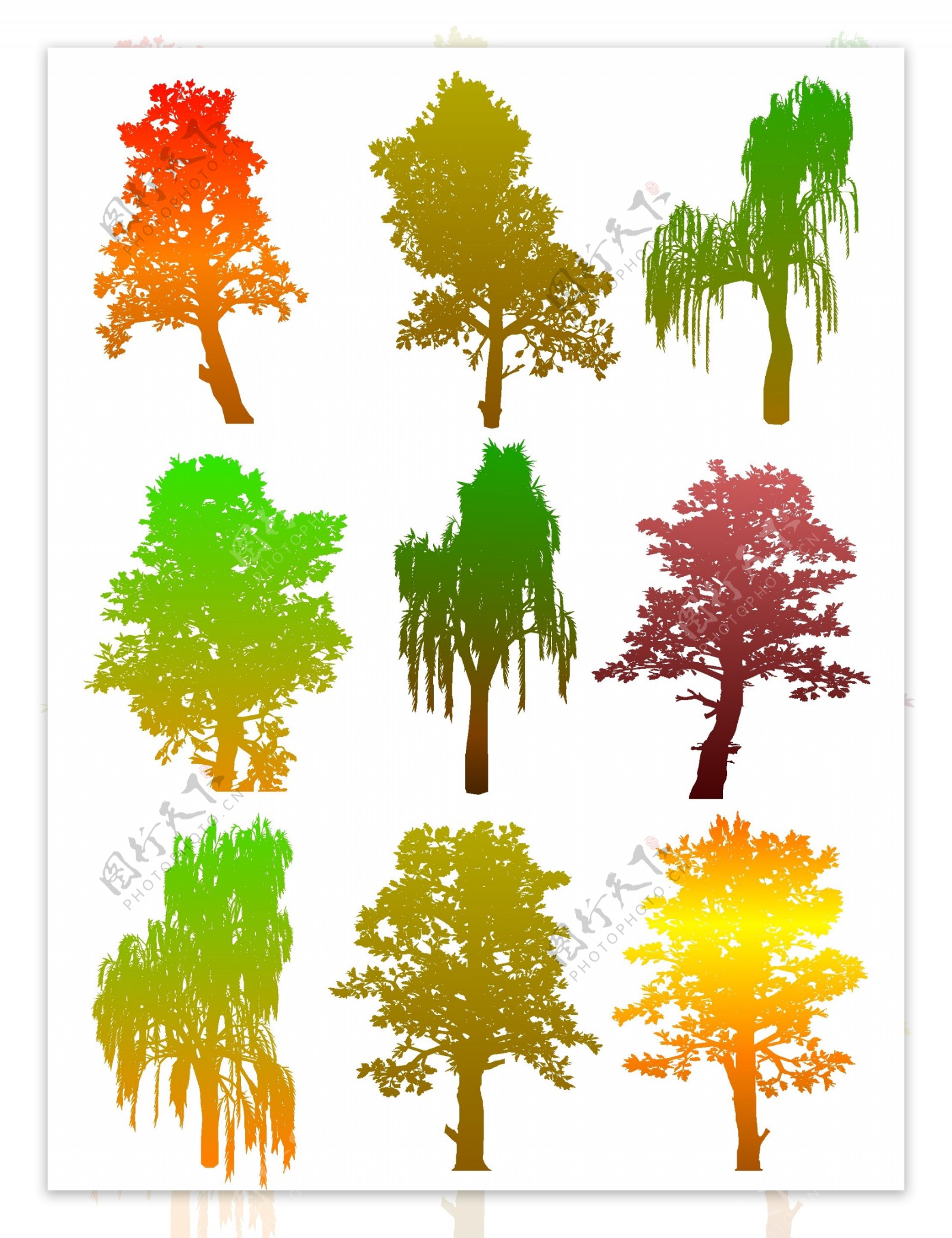 8丰富多彩的秋天的树的剪影