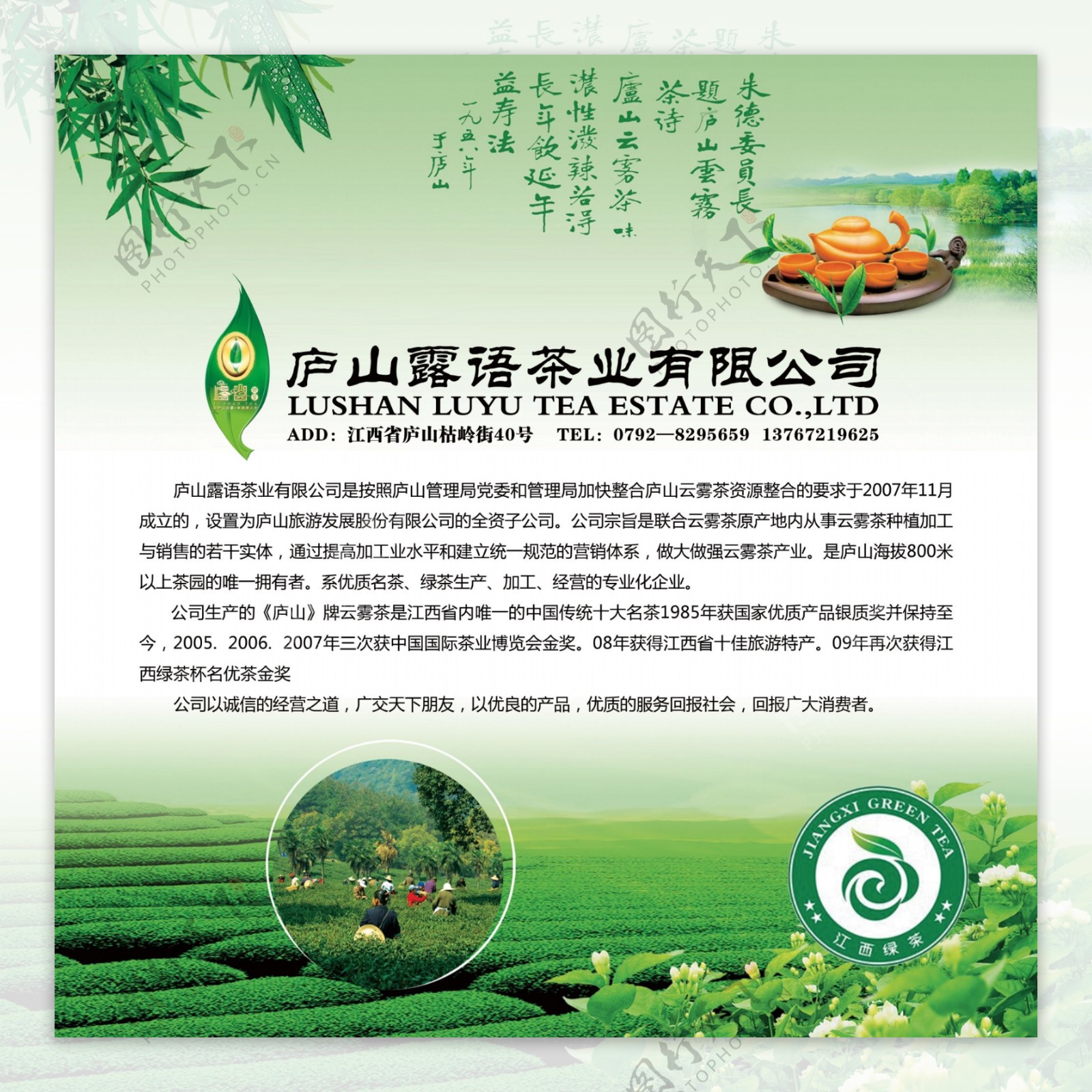 茶业公司海报图片