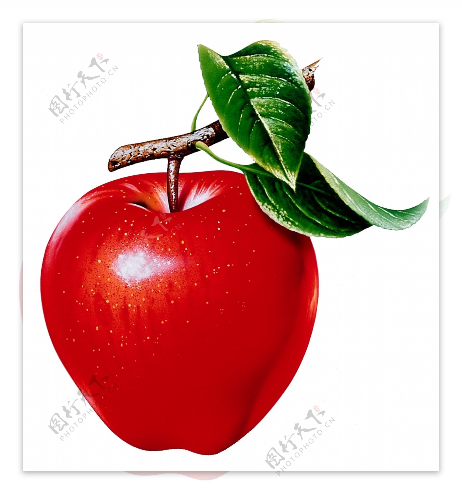 PSD水果苹果抠图格式