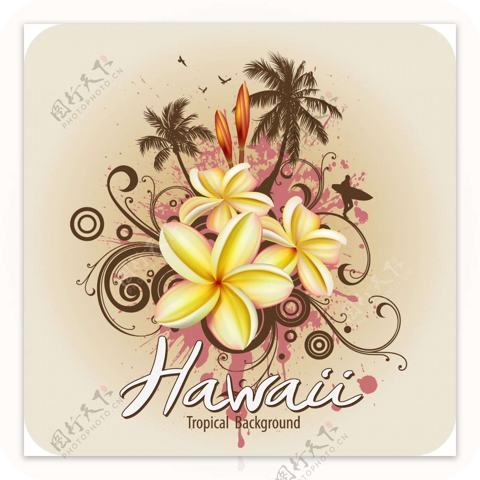 矢量潮流热带花朵椰树背景海报图片