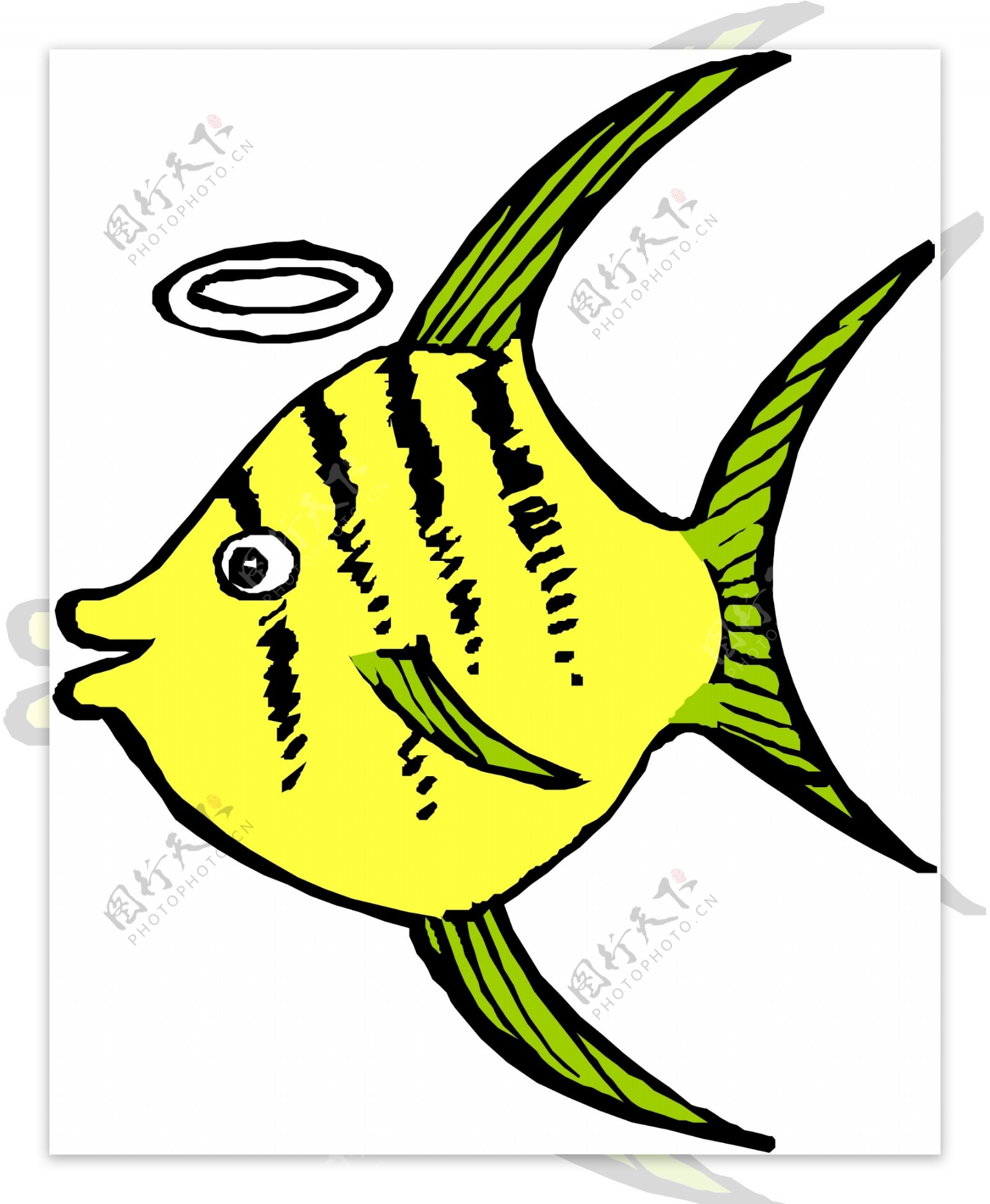 黄色天使小鱼