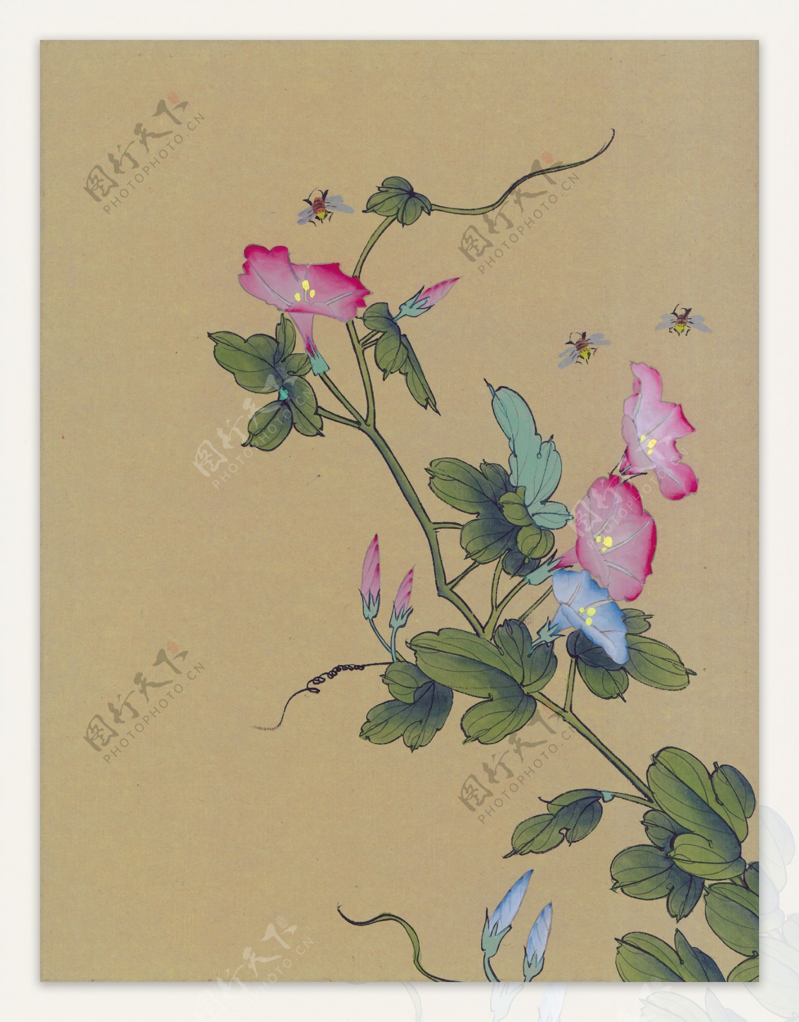 中华艺术绘画古画花朵花卉中国古代绘画1