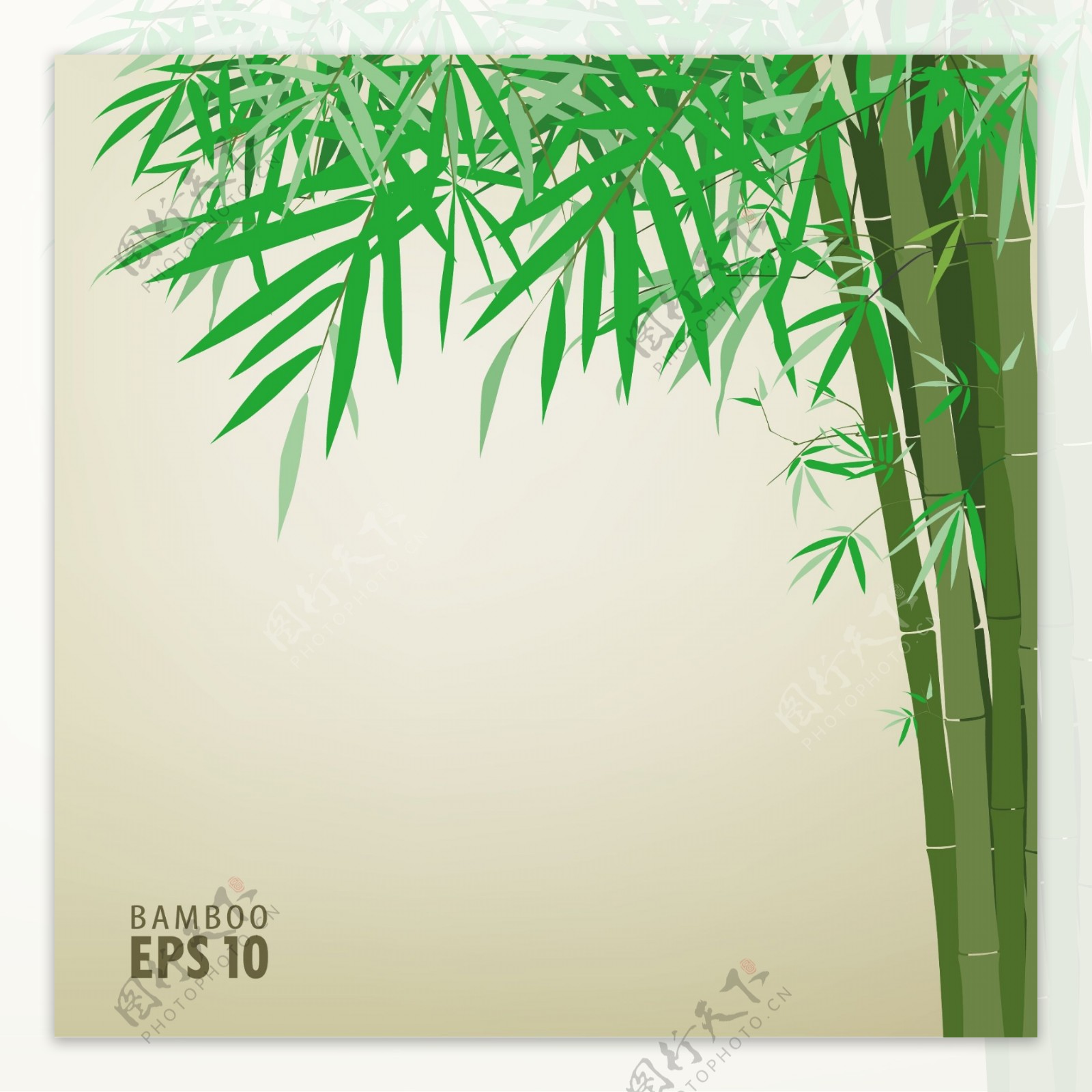 绿竹背景文本模板矢量素材2