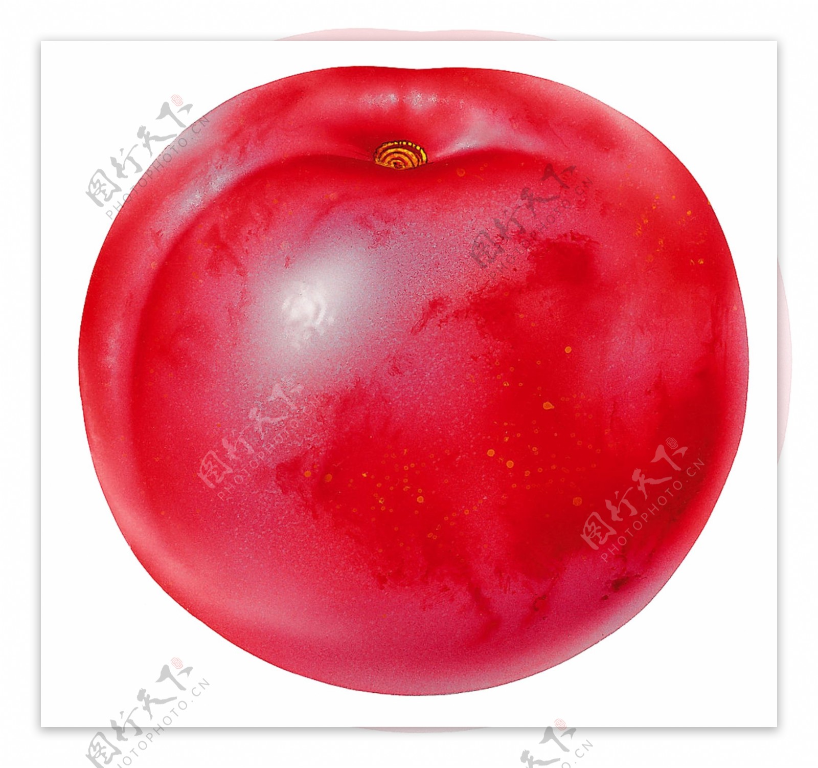 一个番茄