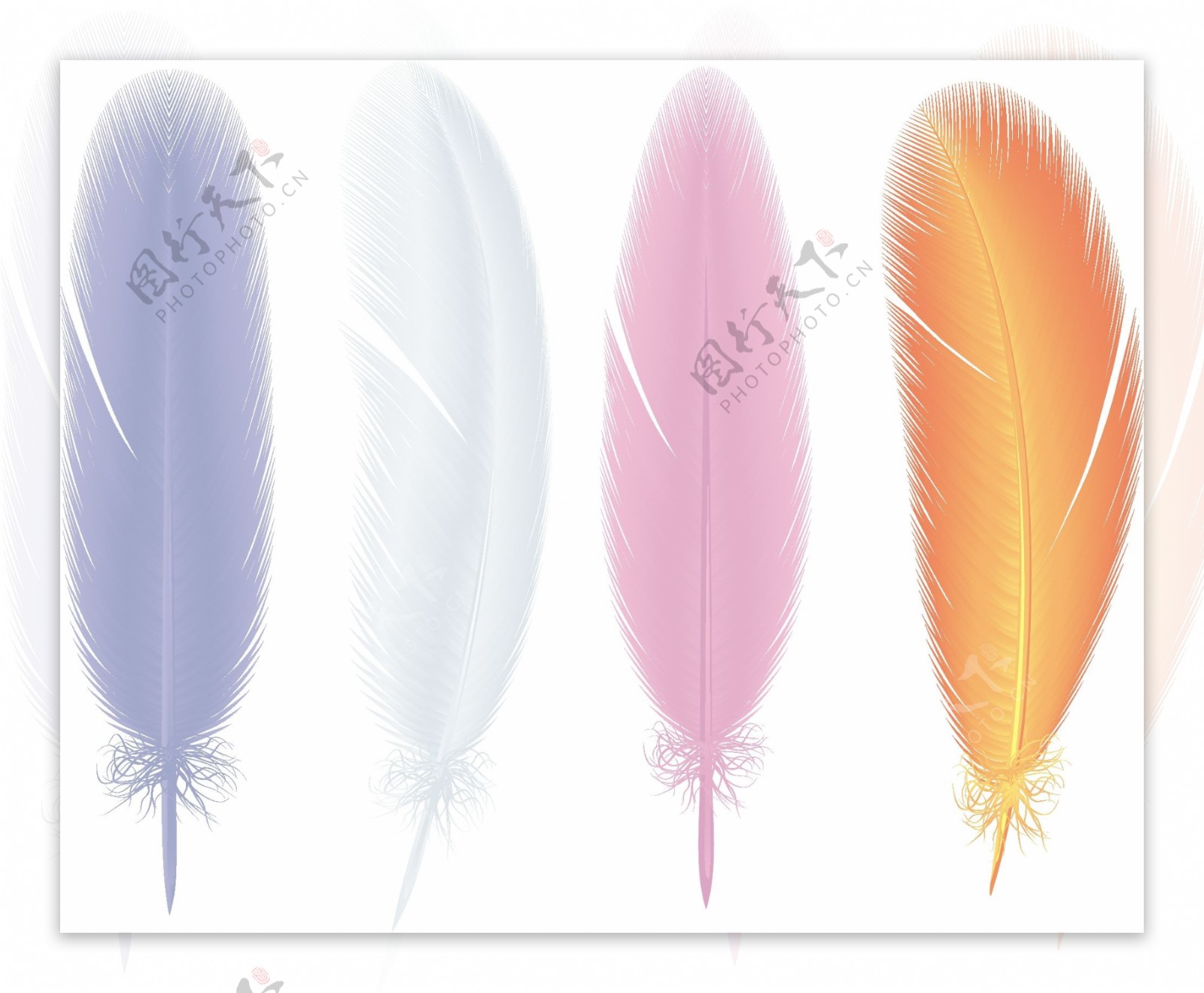 4软彩色向量组鸟的羽毛
