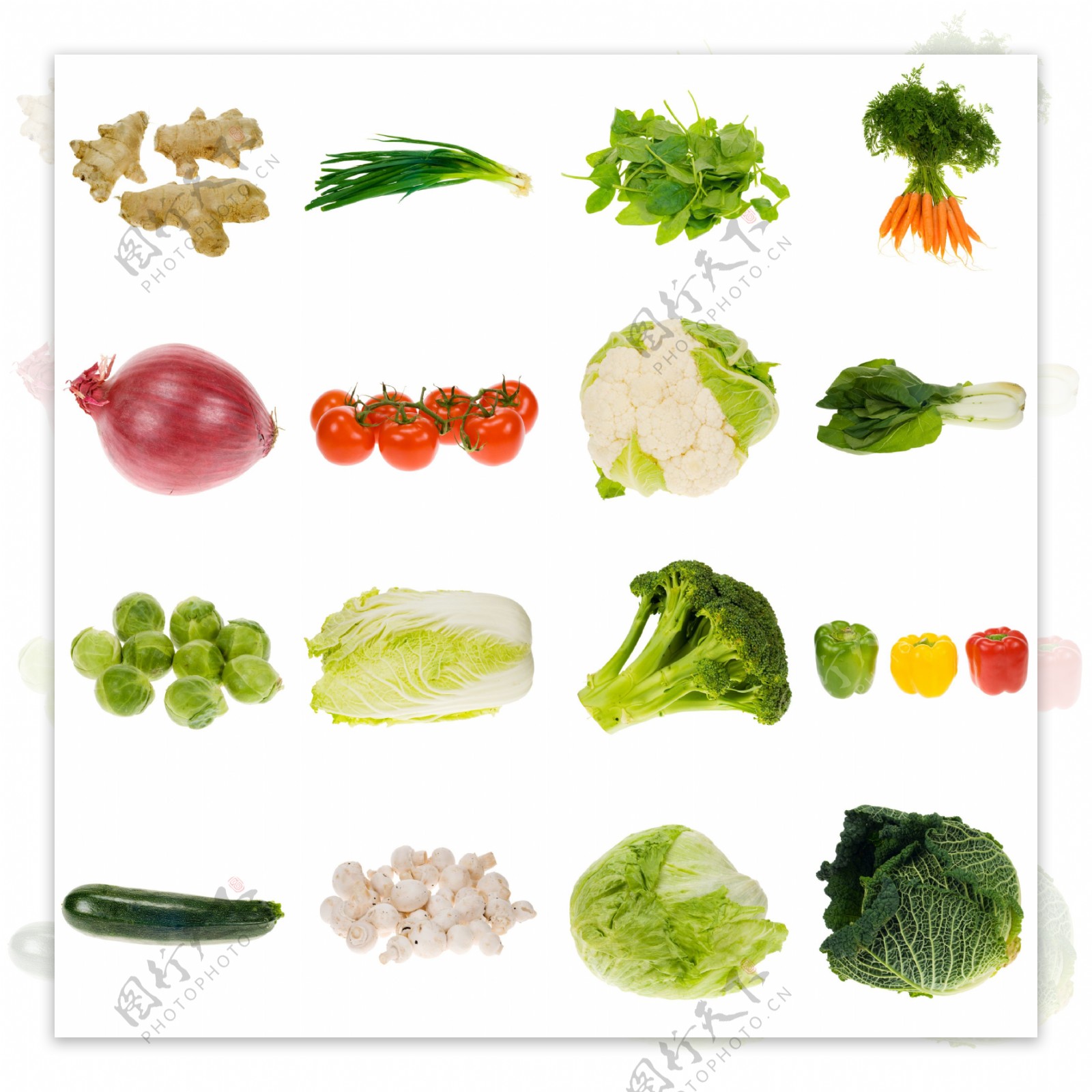 各种各样蔬菜大全图片图片素材-编号26373546-图行天下