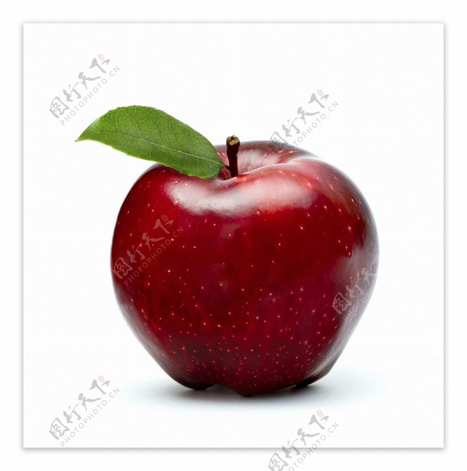新鲜的红苹果图片素材