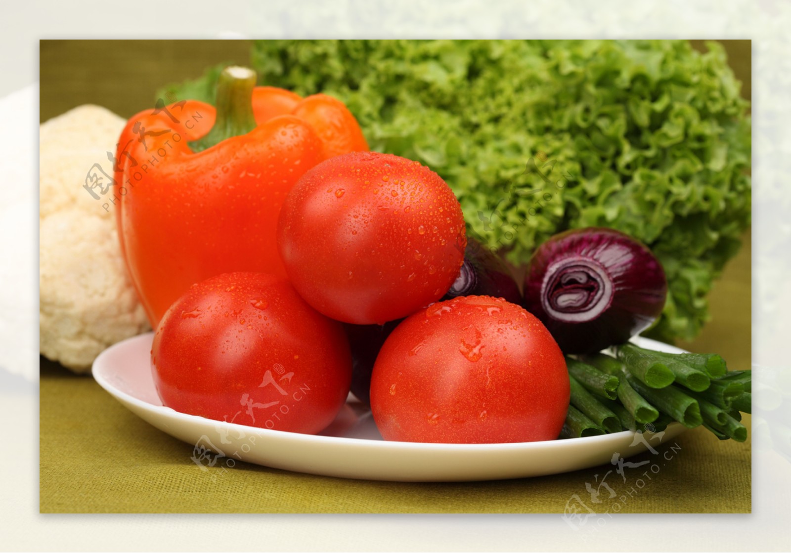 西红柿洋葱辣椒图片