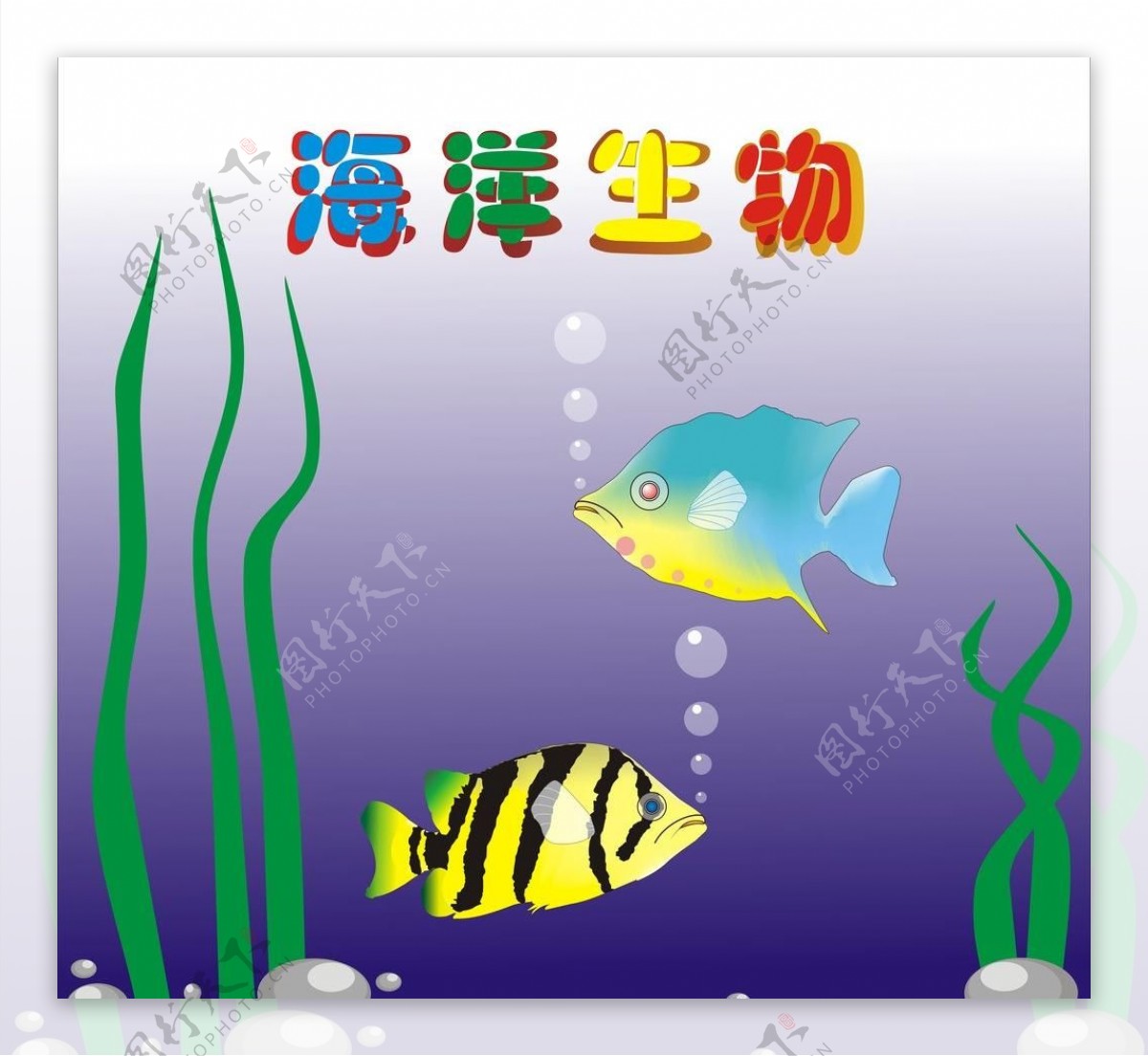 海洋生物图片