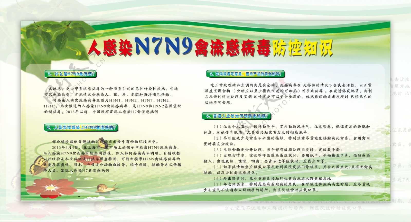 禽流感防控知识展板图片