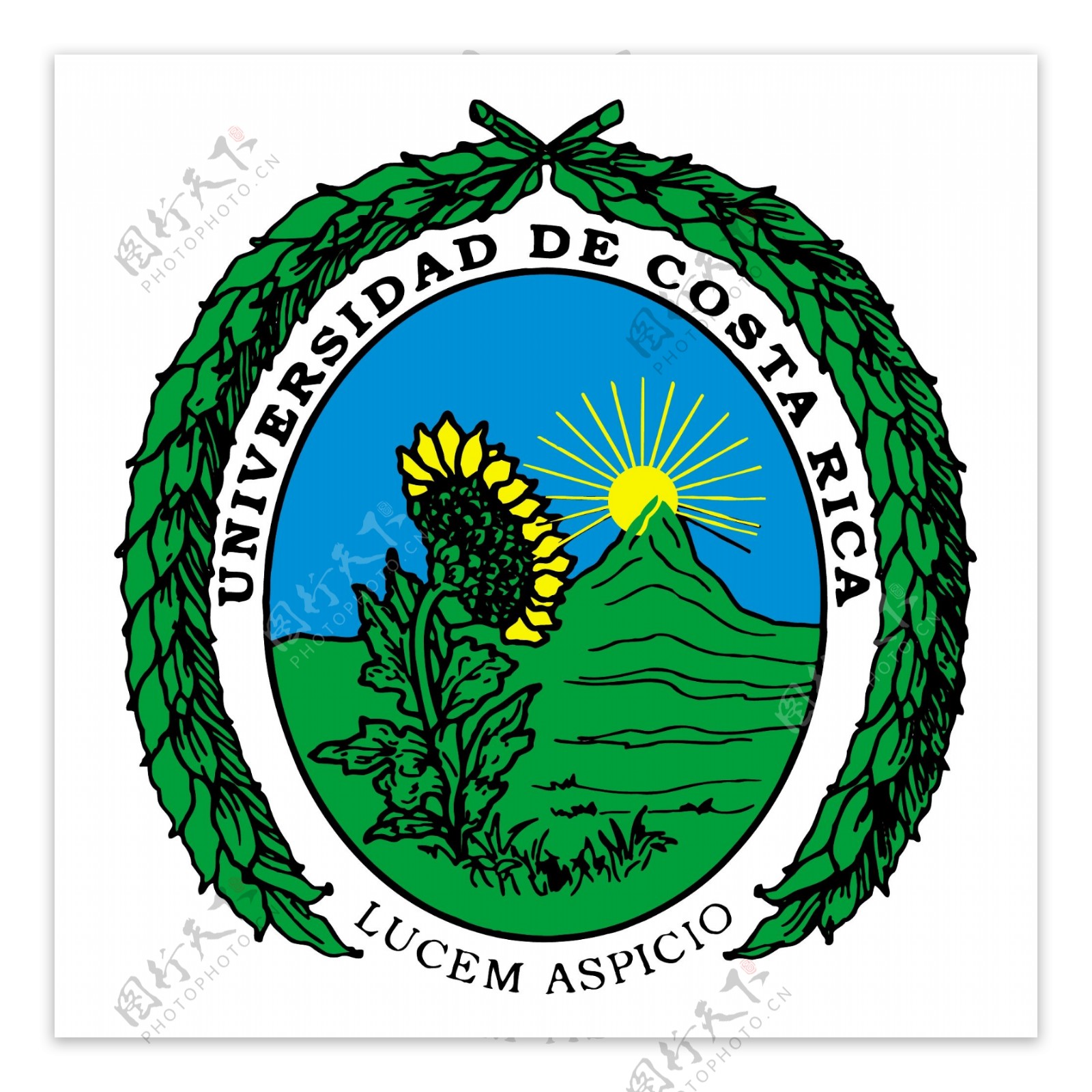 哥斯达黎加大学