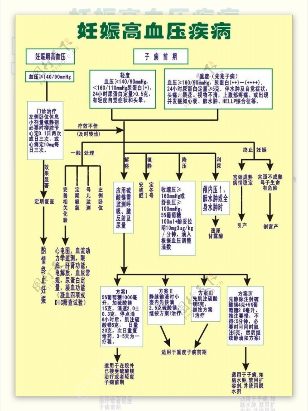 妊娠高血压疾病图片