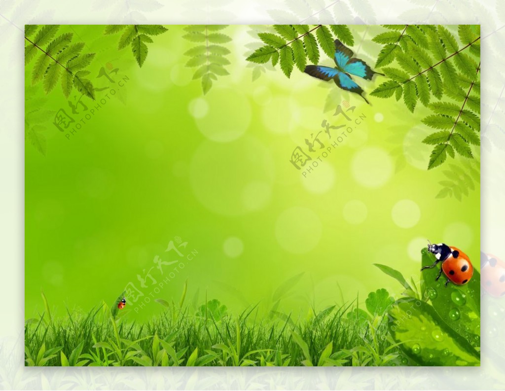 自然绿色图片PPT模板