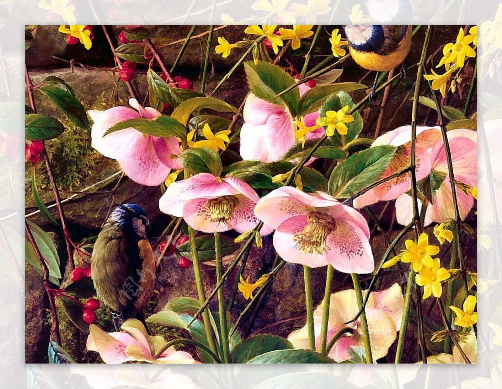 手绘春季花卉茶花图片