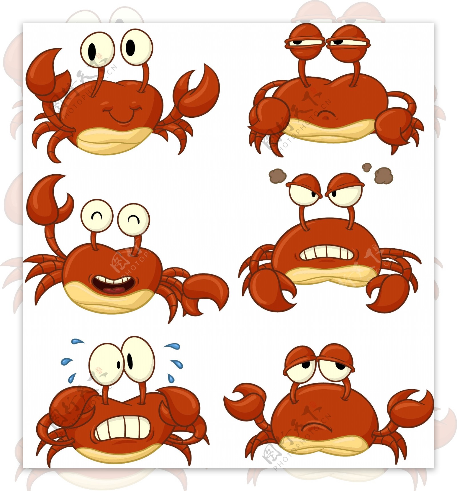 表情丰富的螃蟹