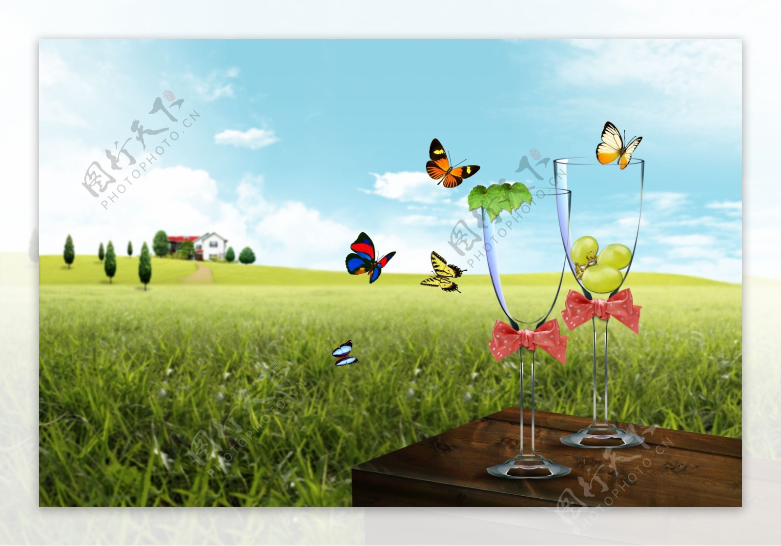 蝴蝶杯子草地风景图图片
