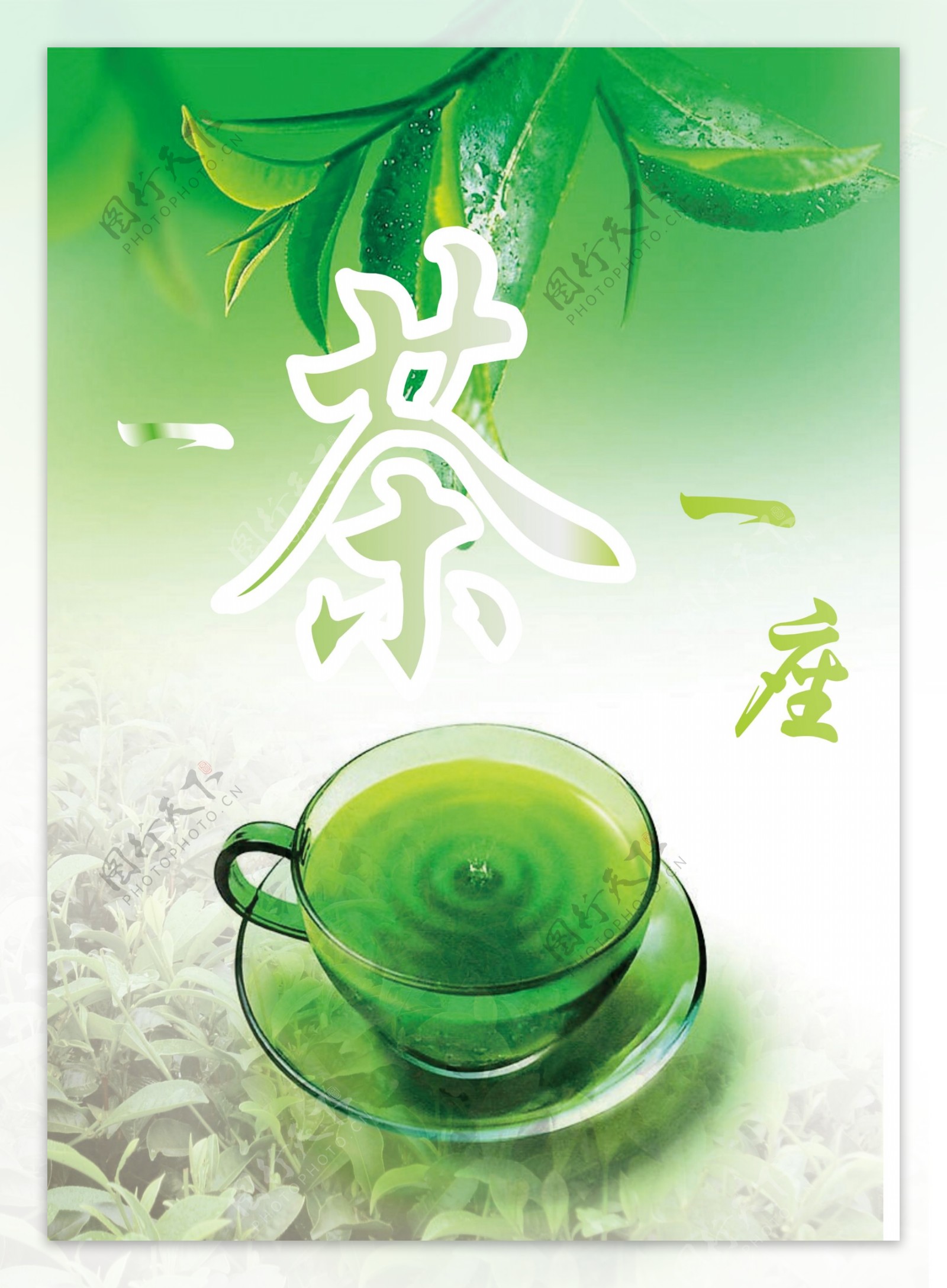 茶版面