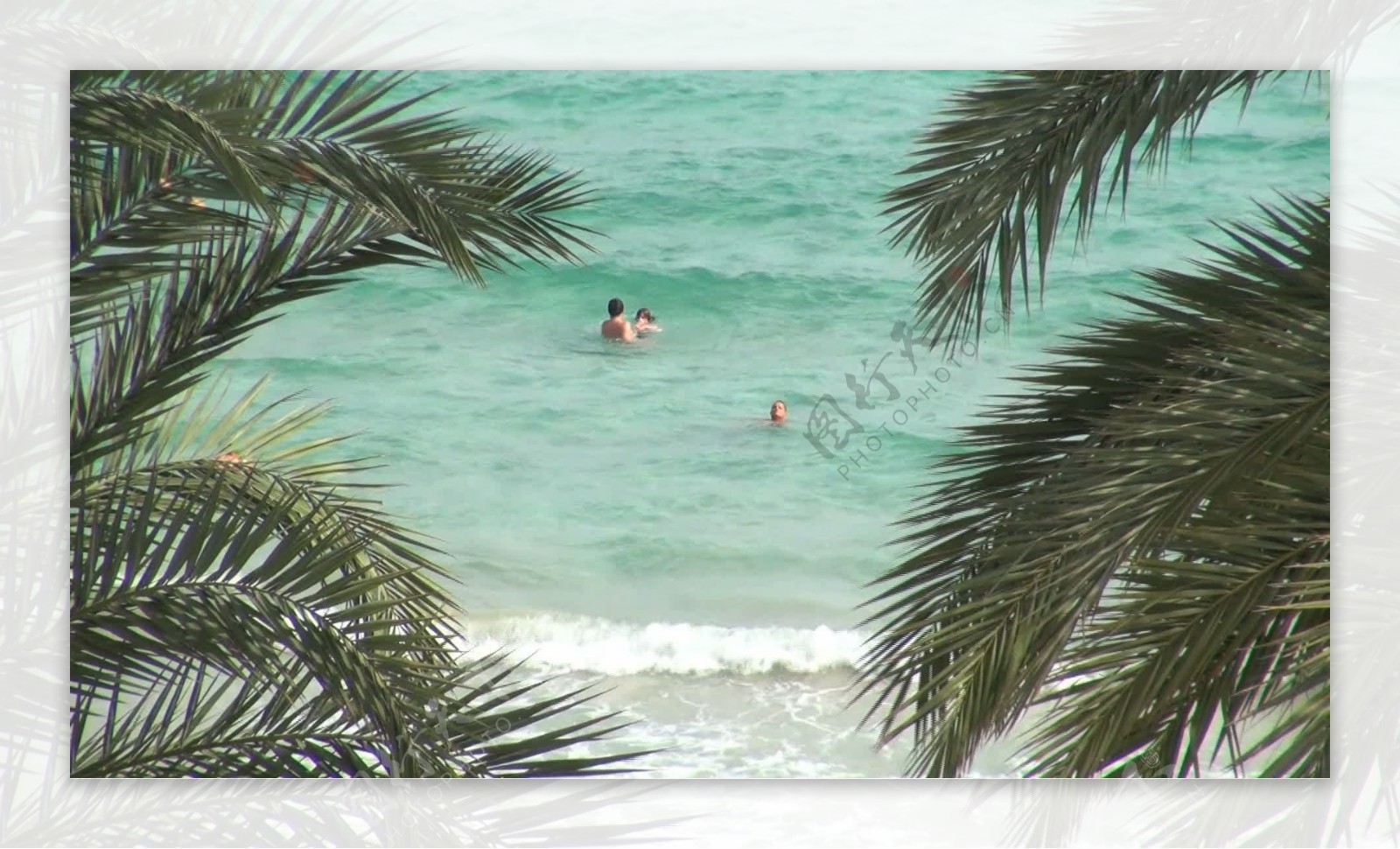 人们在海里游泳用棕榈叶2股票的录像