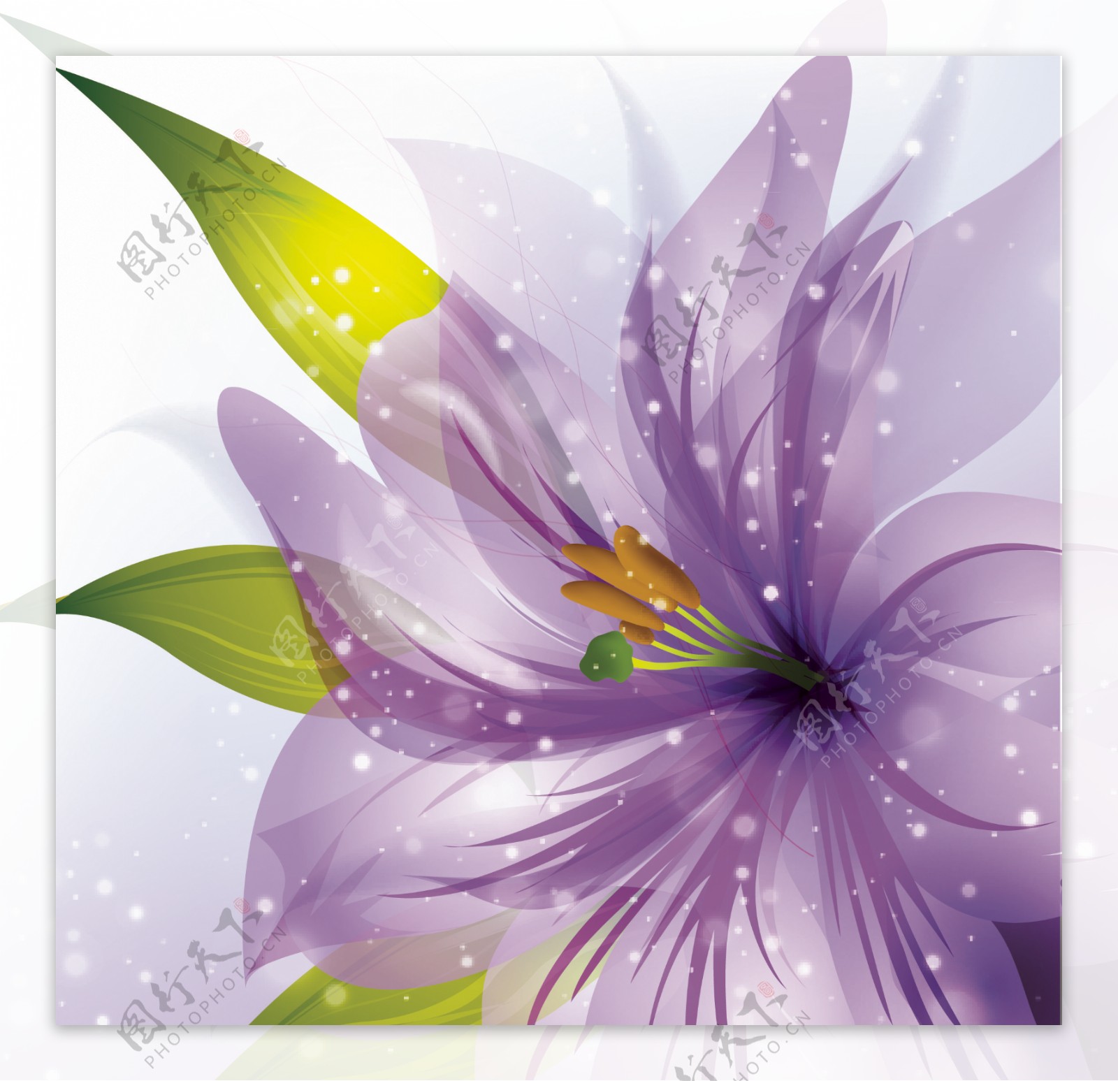 花朵紫色矢量插画卡通