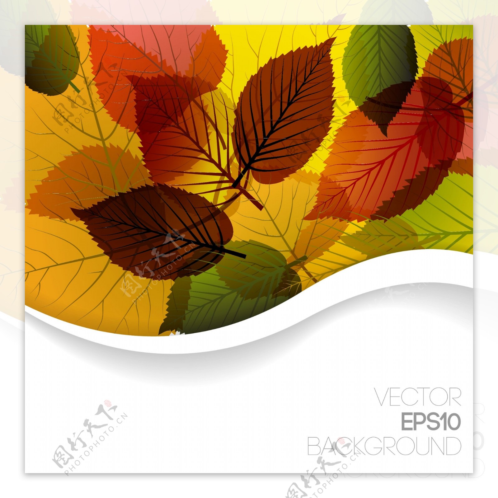 秋天的树叶图形设计矢量素材3
