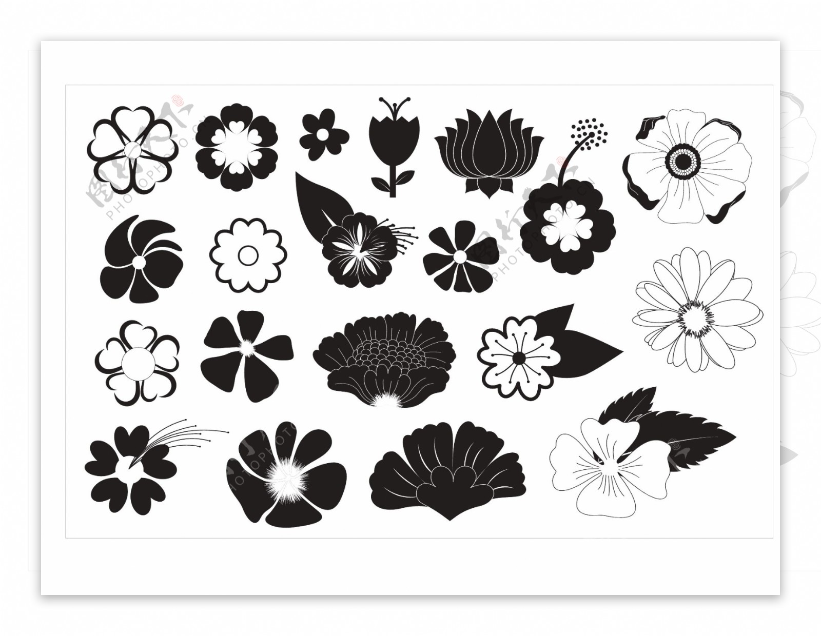 黑白花朵纹样矢量图AI