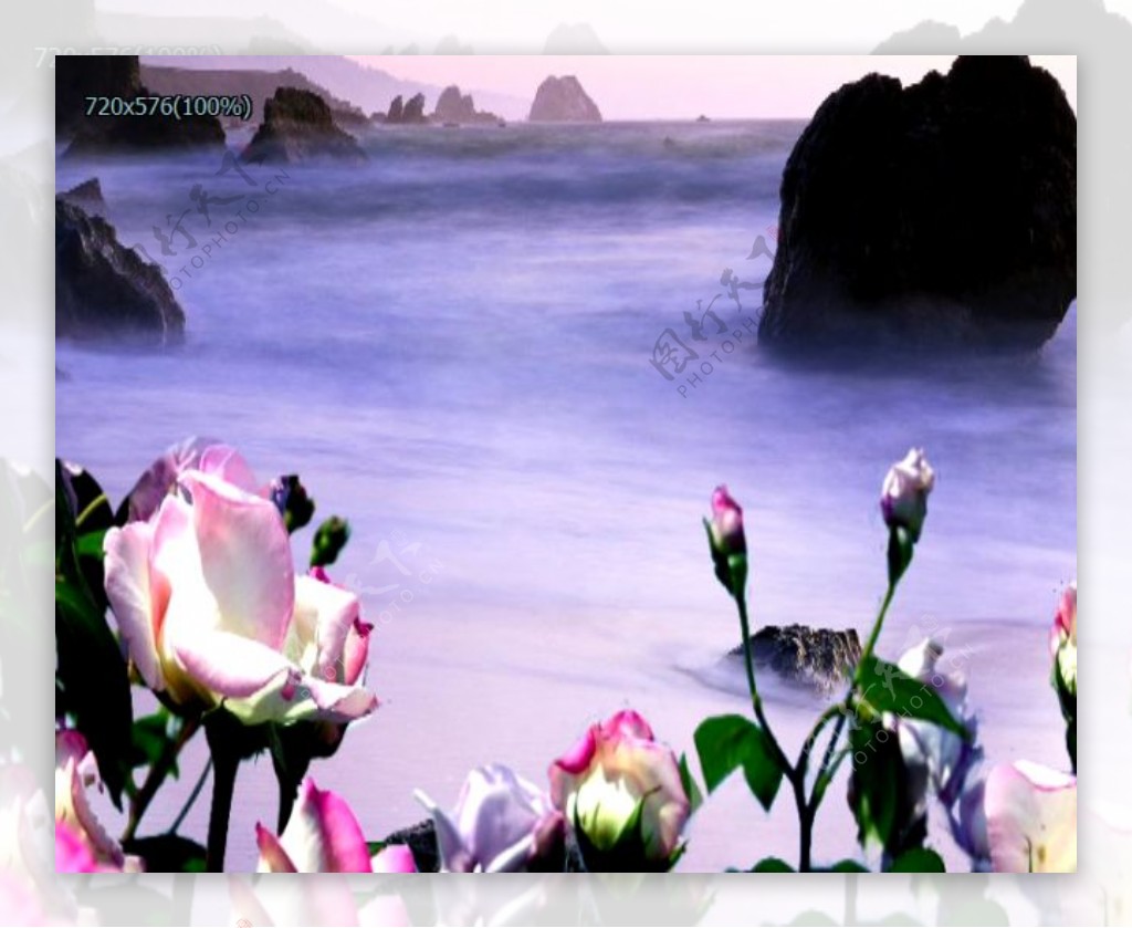 鲜花海景模拟视频特效