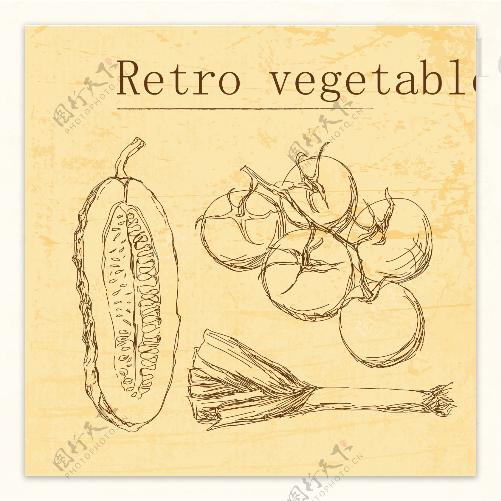 复古蔬菜