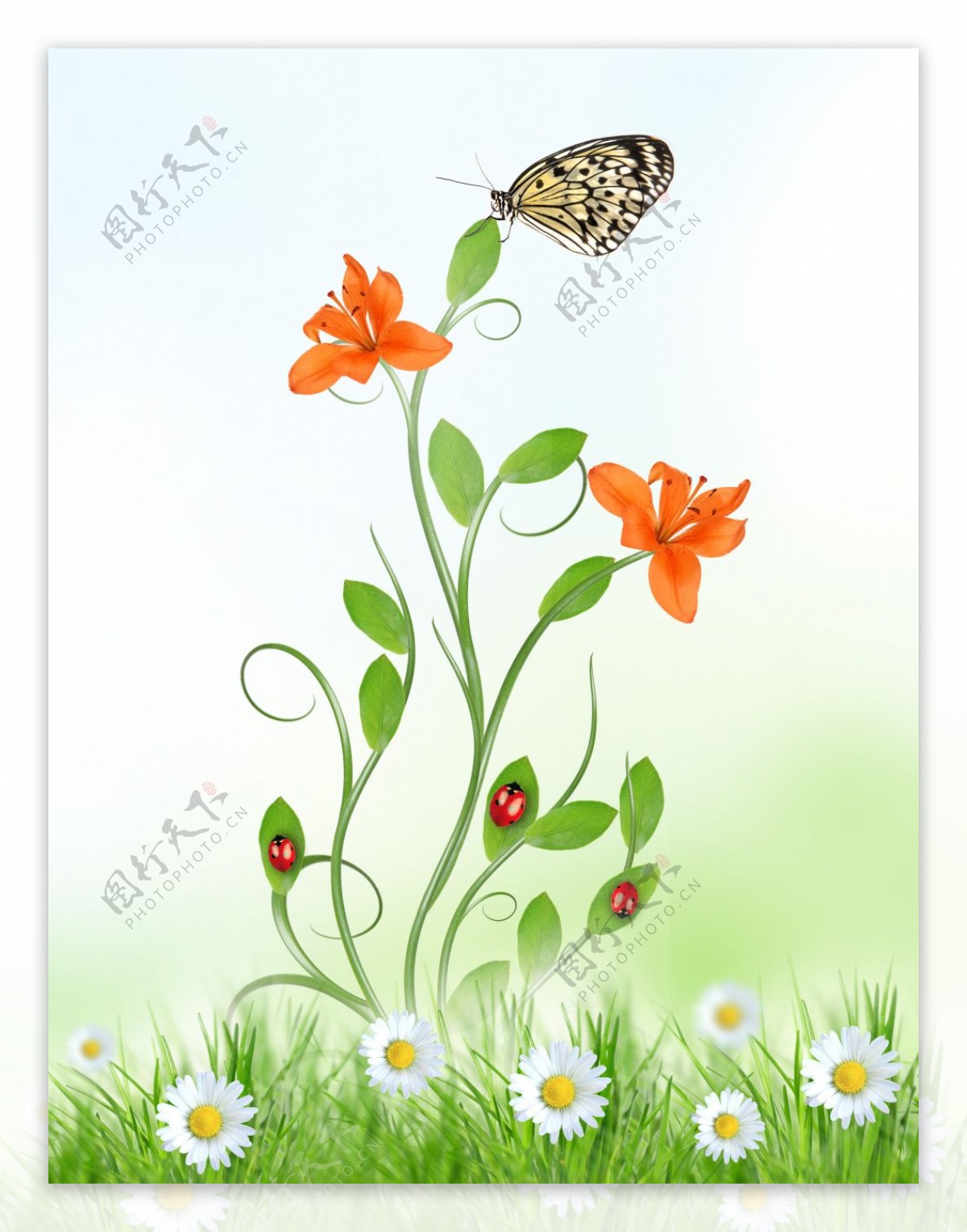 蝴蝶停在花藤图片素材-编号05441594-图行天下