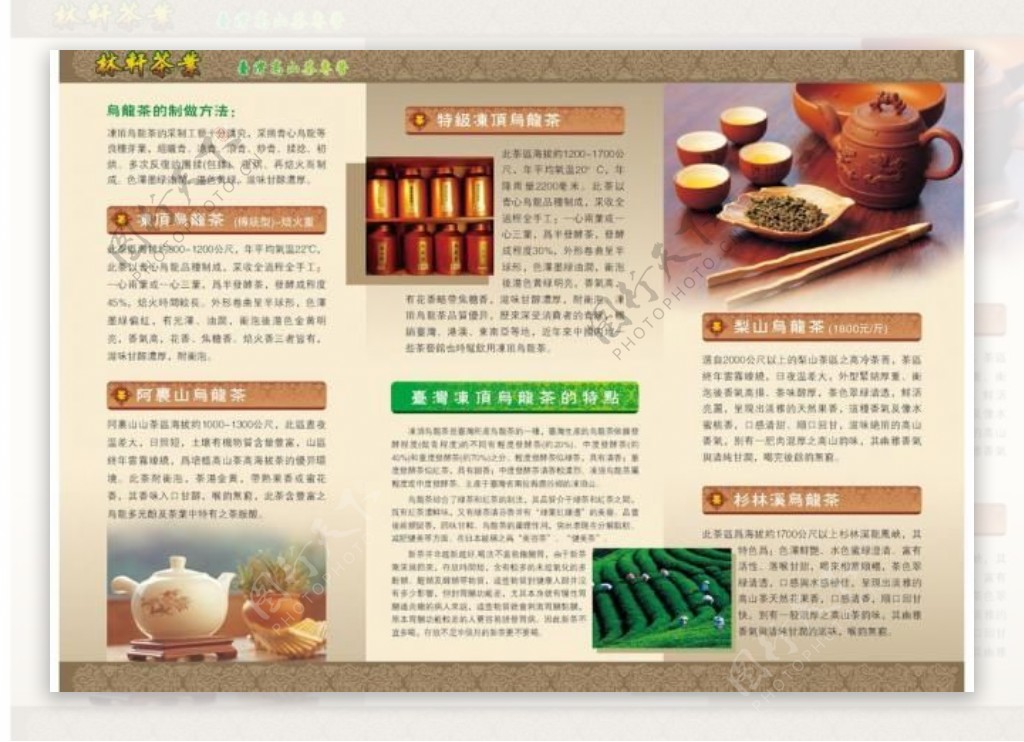 林轩茶业dm折页设计图片