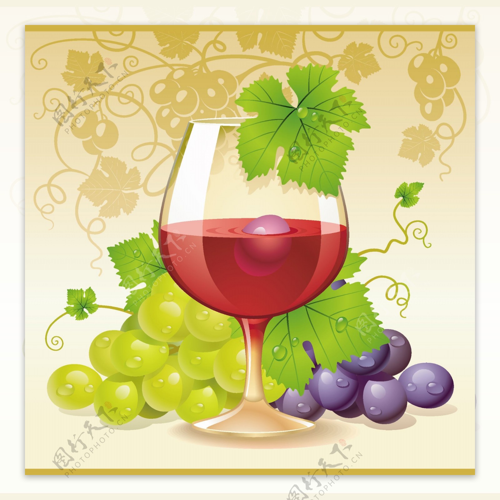 葡萄与葡萄酒矢量素
