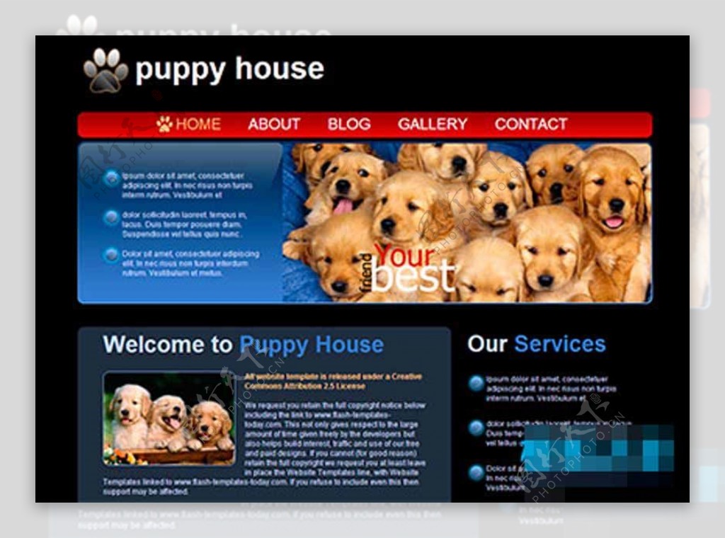 黑色背景小狗宠物之家网页模板