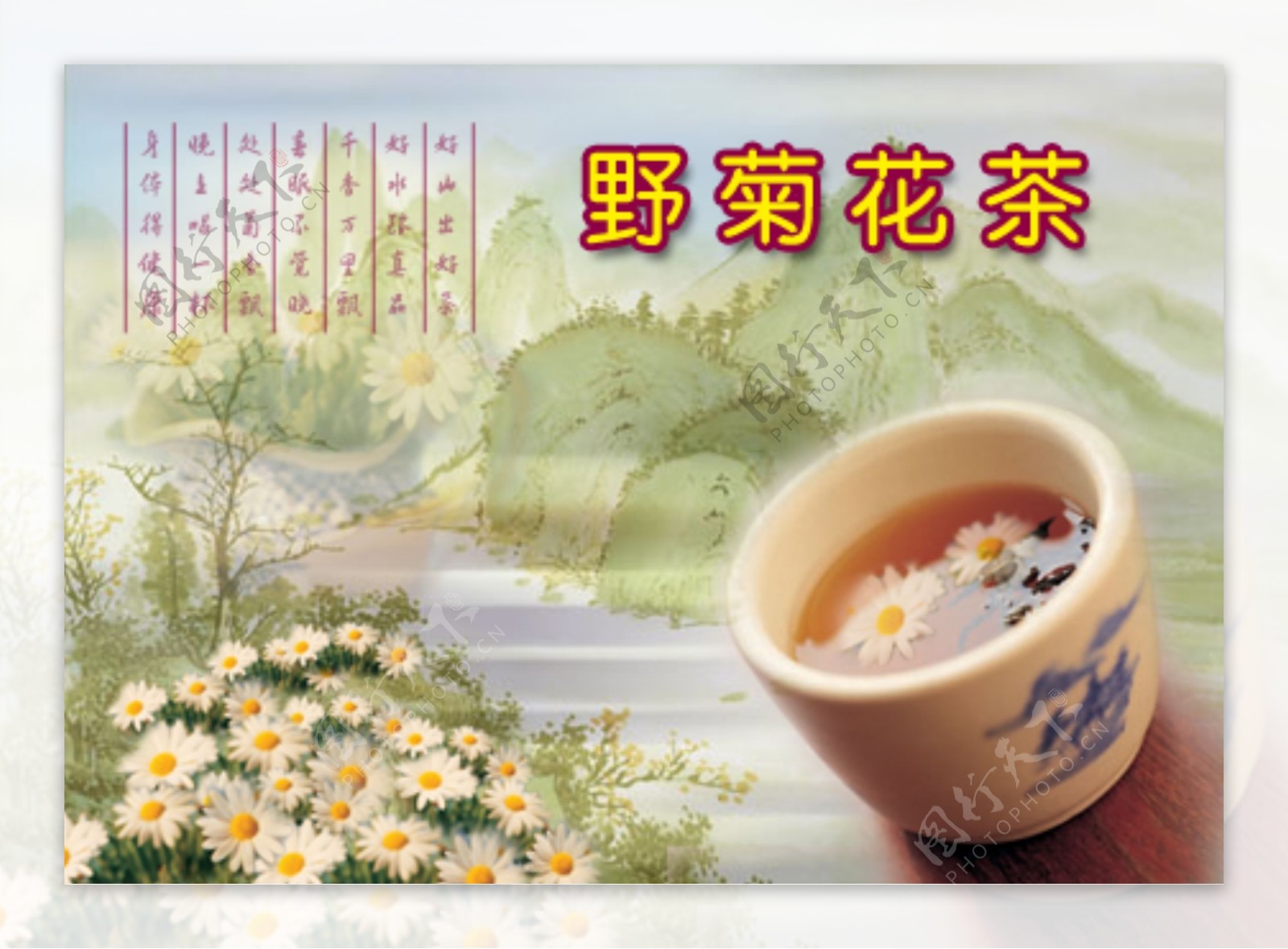 菊花茶系列