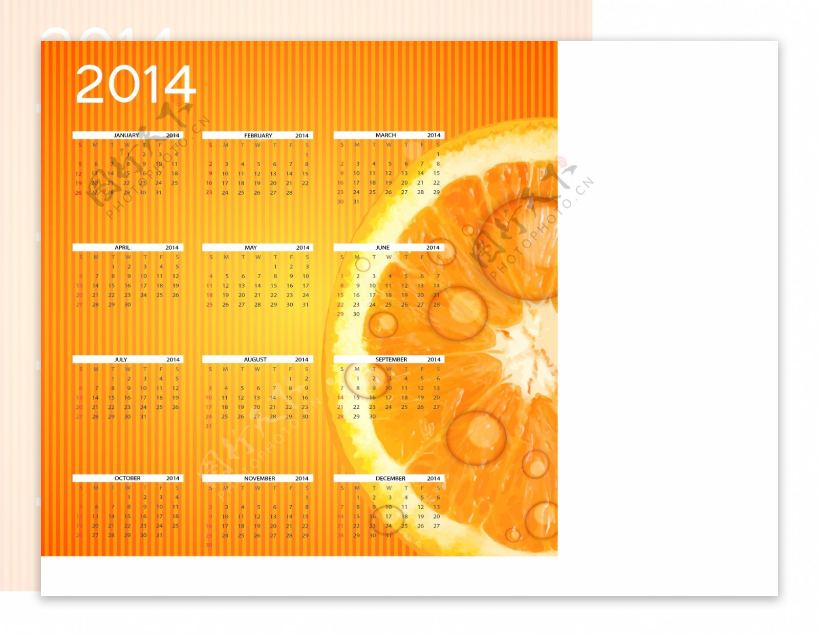 2014橙子年历背景矢量素材