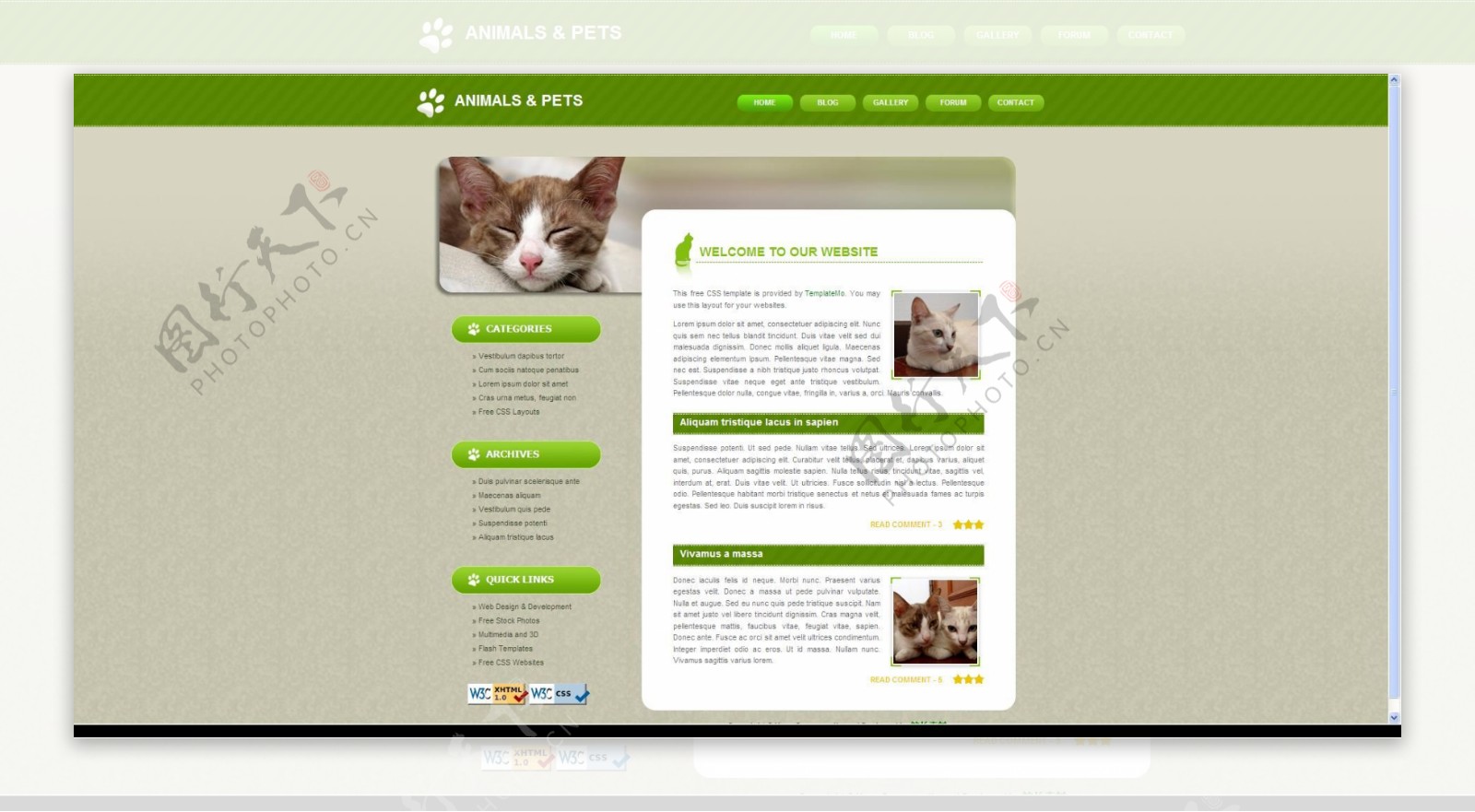 动物宠物布局CSS网页