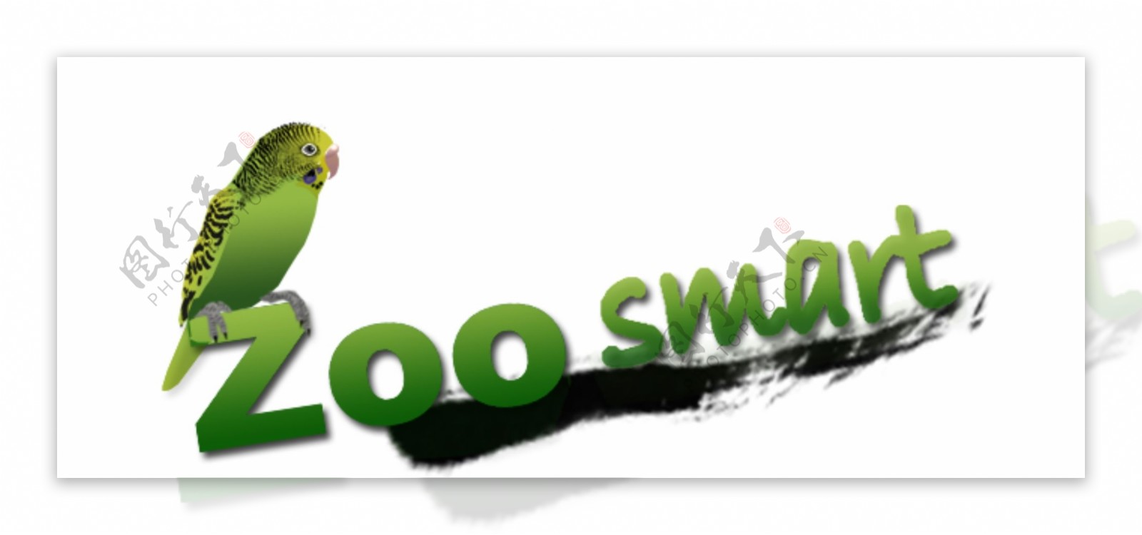 虎皮鹦鹉logo图片