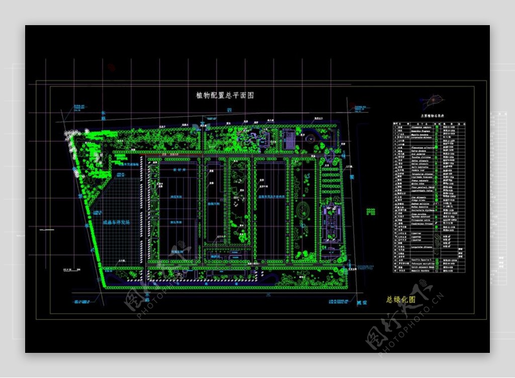 植物配置总平面图