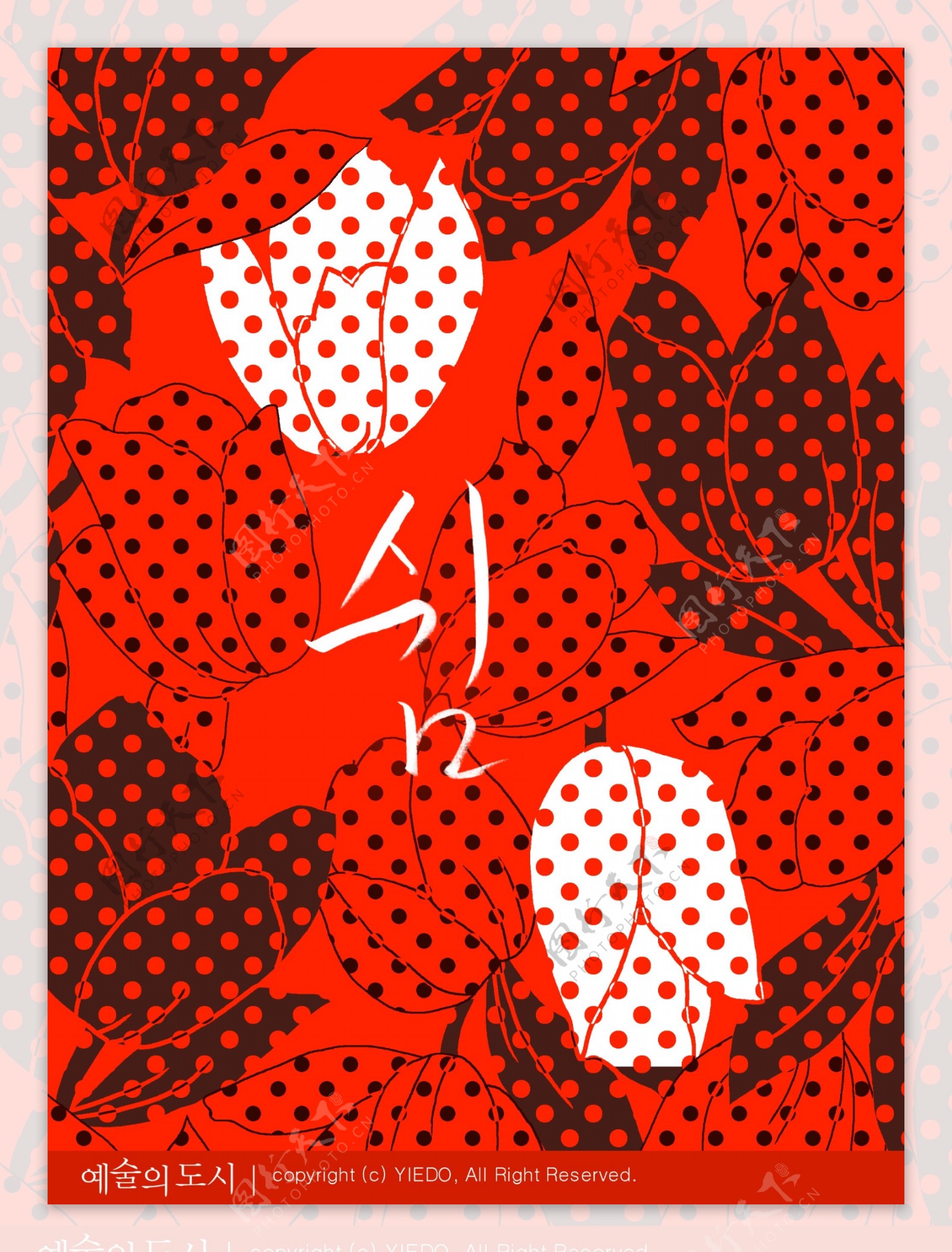 韩国时尚花纹艺术海报