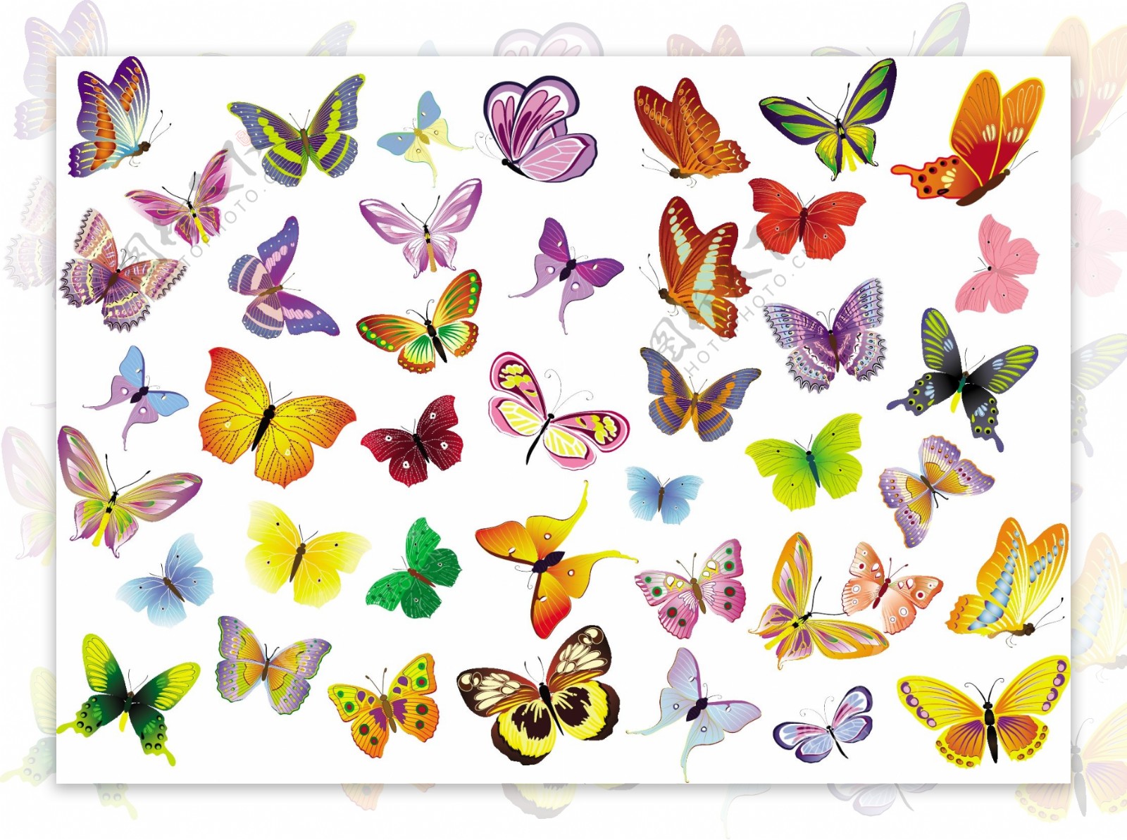 免费的矢量集的蝴蝶装饰