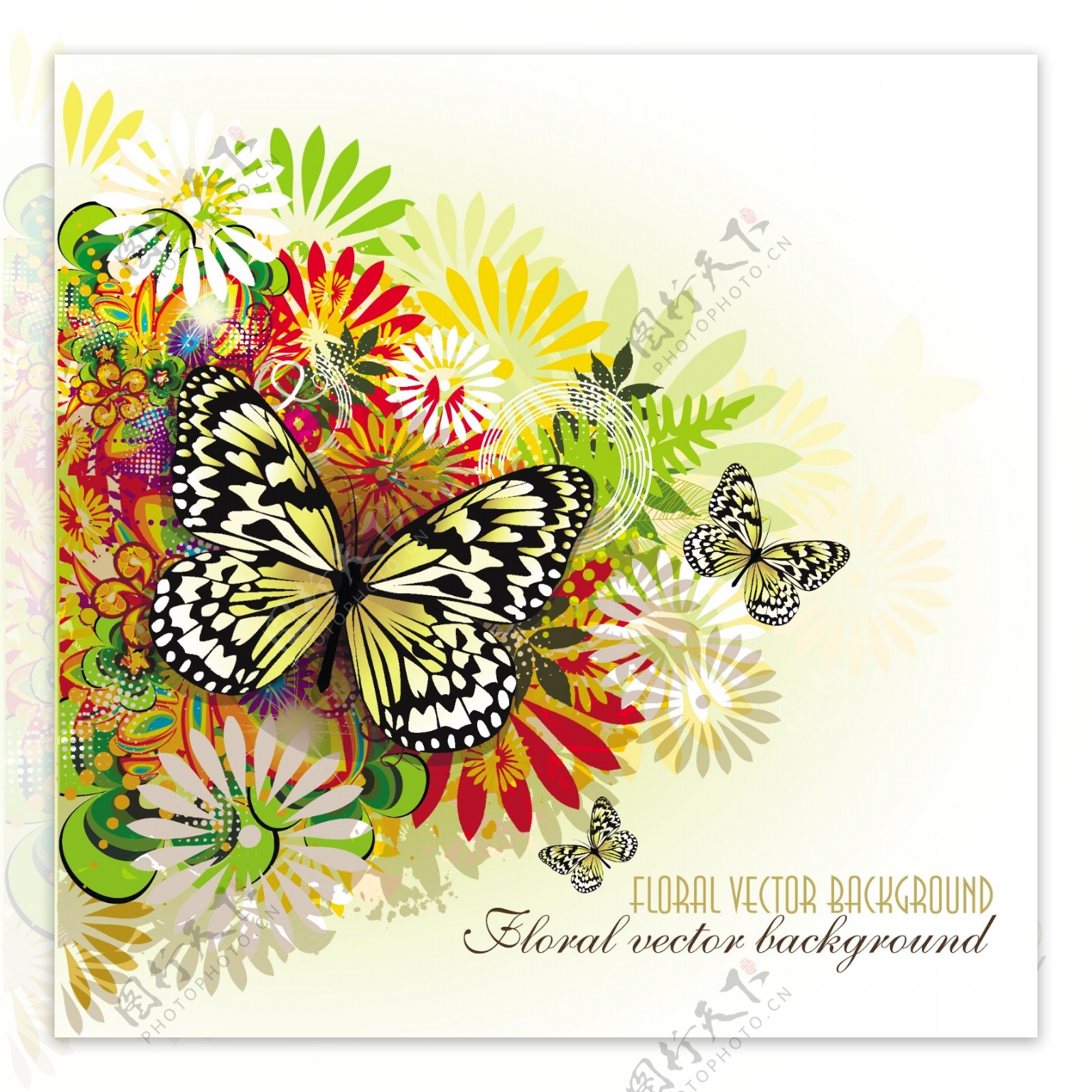 美丽的春天蝴蝶背景矢量素材