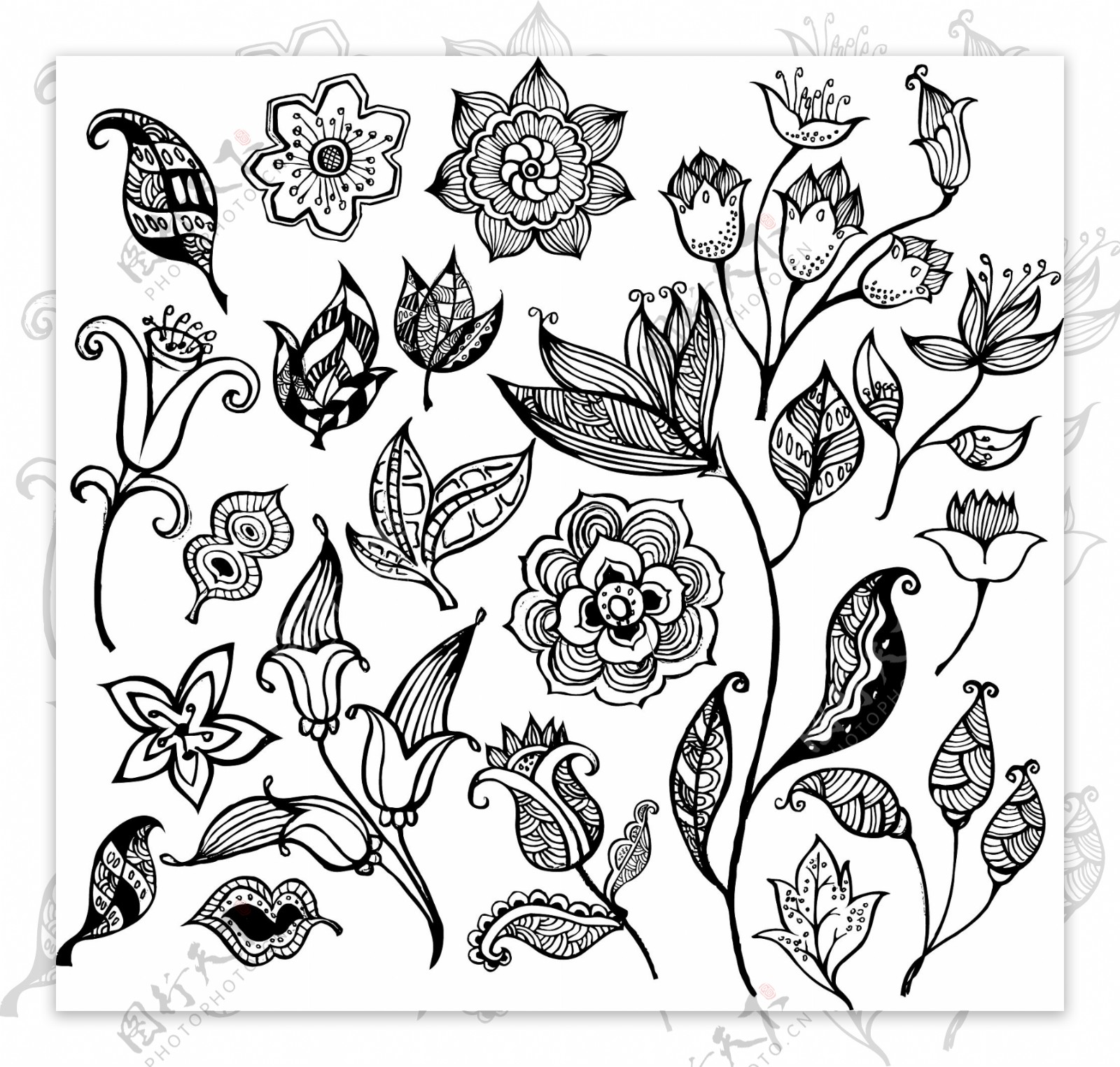 黑色和白色的花卉图案矢量素材