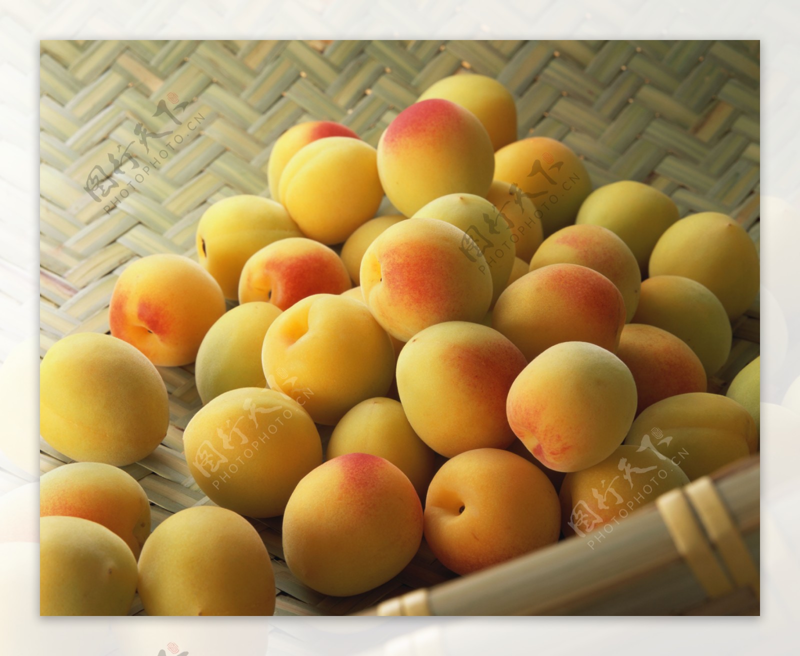 一堆黄色的杏子特写高清图片下载