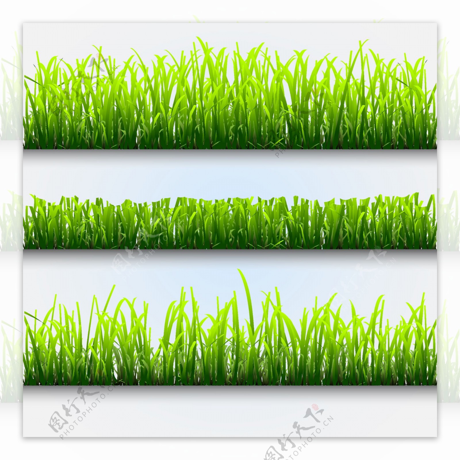 清爽绿色草坪矢量图