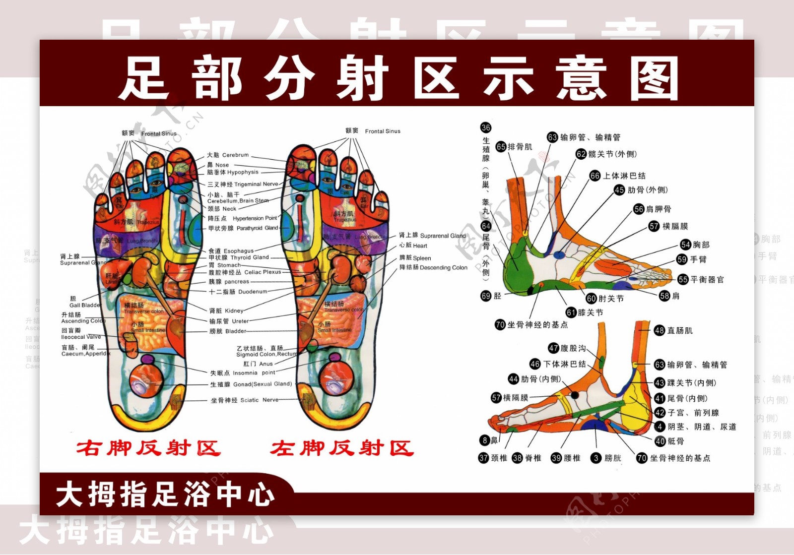 足浴按摩图